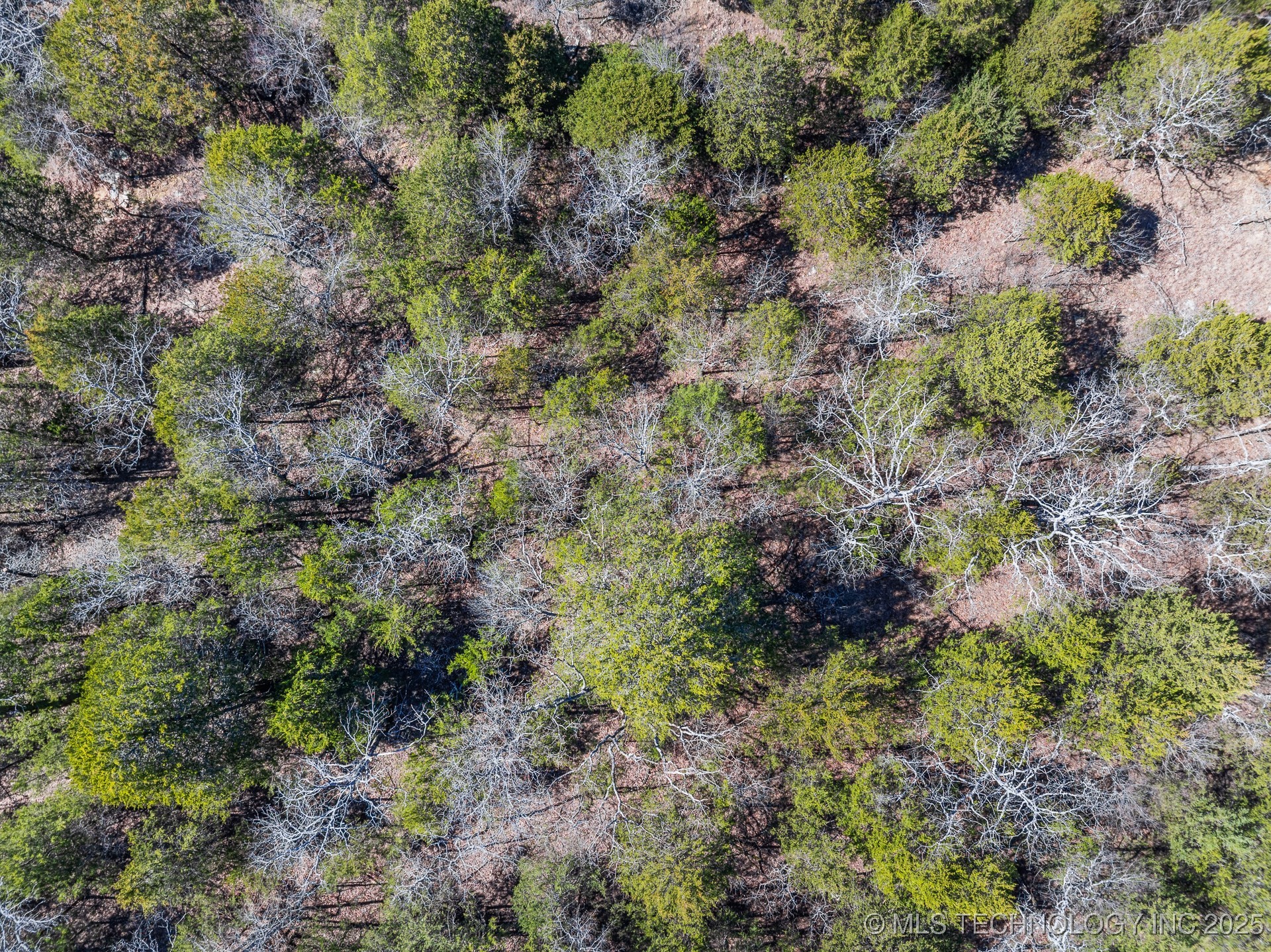 99999 963 Property Photo 24