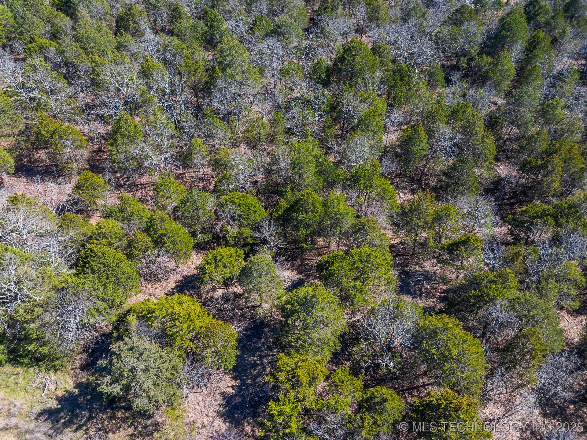 99999 963 Property Photo 25