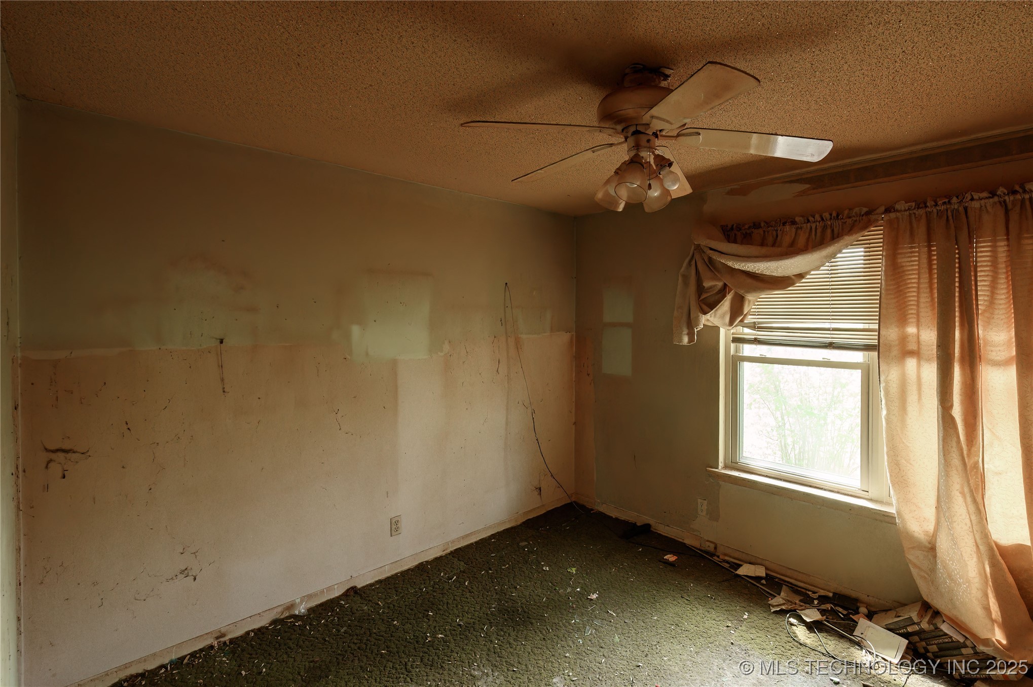 210 N Collins Property Photo 28