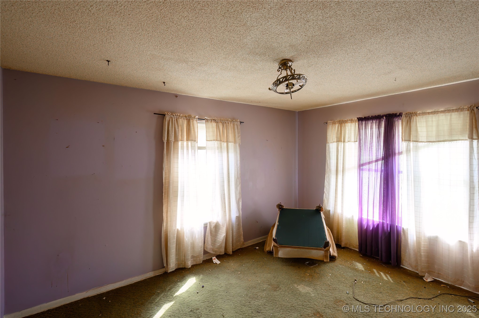 210 N Collins Property Photo 29