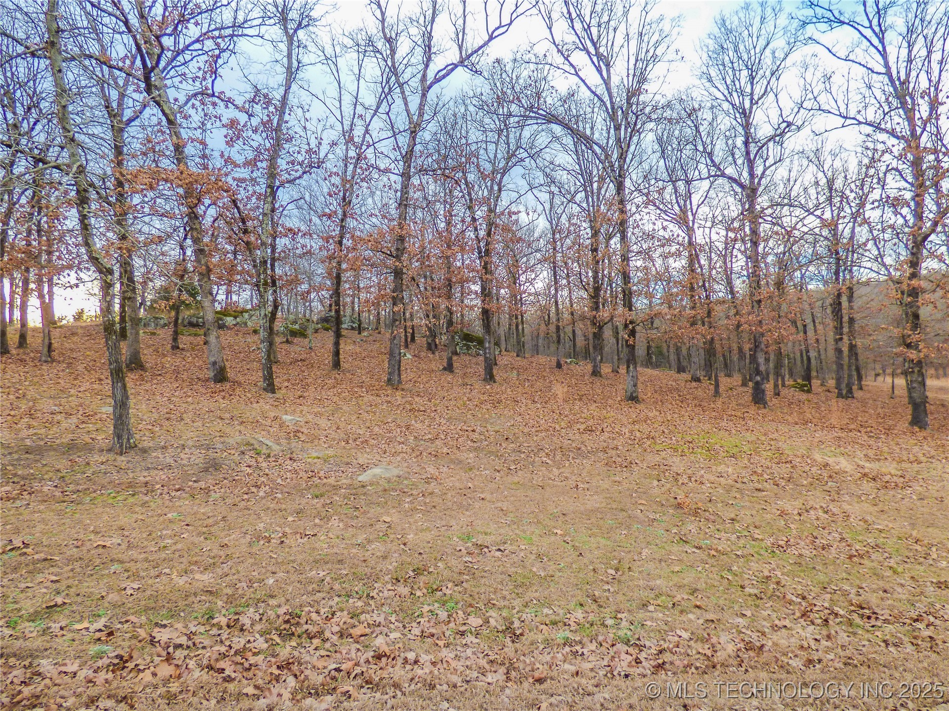 23 Duchess Creek Drive Property Photo 2