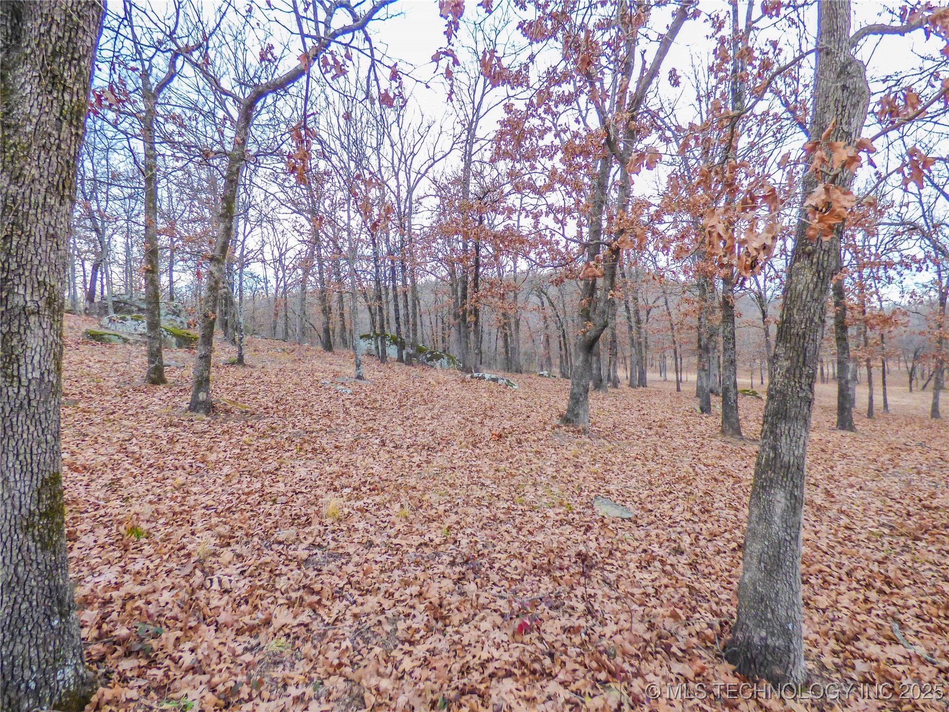 23 Duchess Creek Drive Property Photo 10