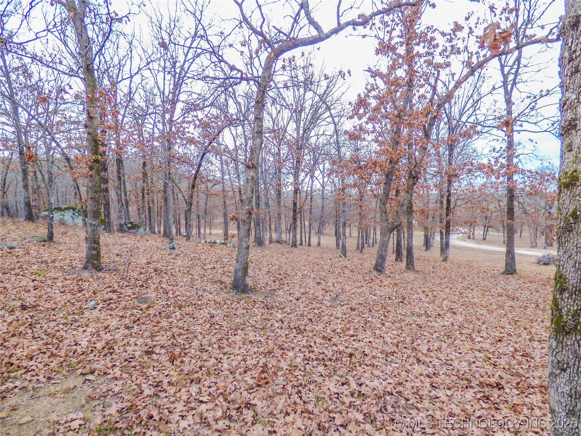 22 Duchess Creek Drive Property Photo 2