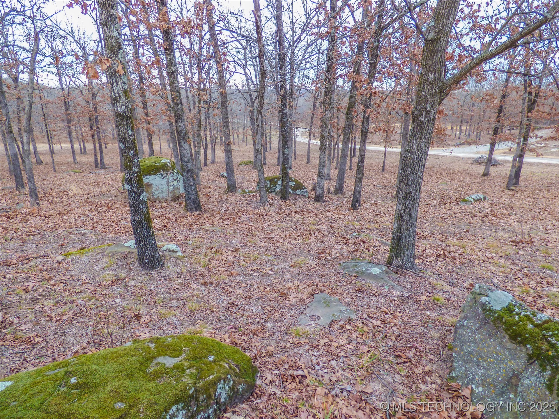 22 Duchess Creek Drive Property Photo 4