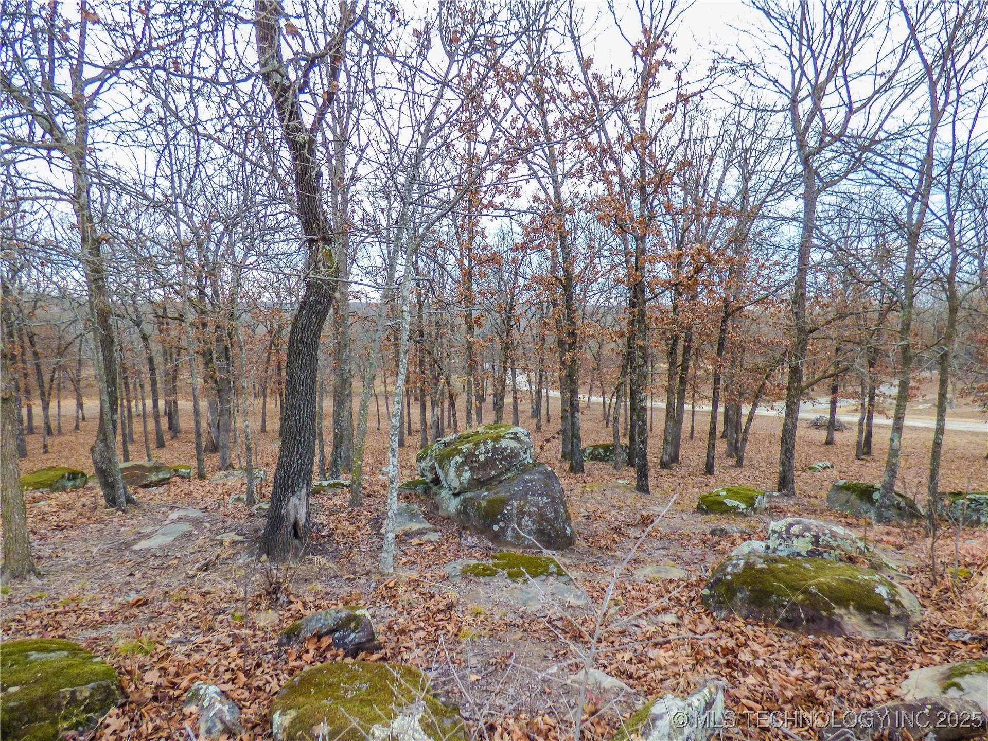 19 Duchess Creek Drive Property Photo 1