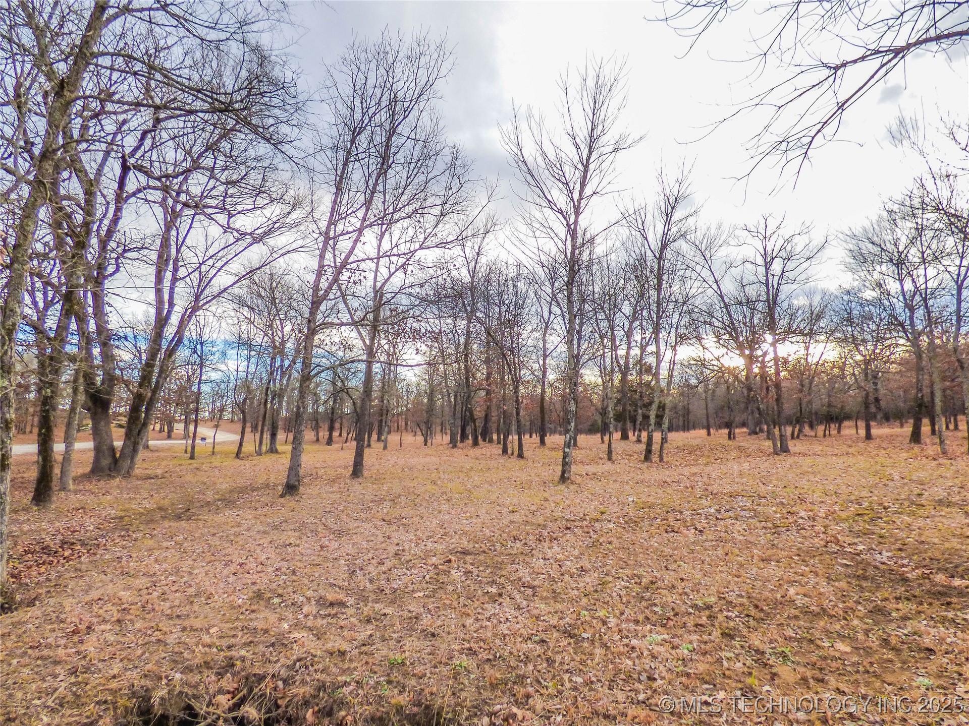 16 Duchess Creek Drive Property Photo 8