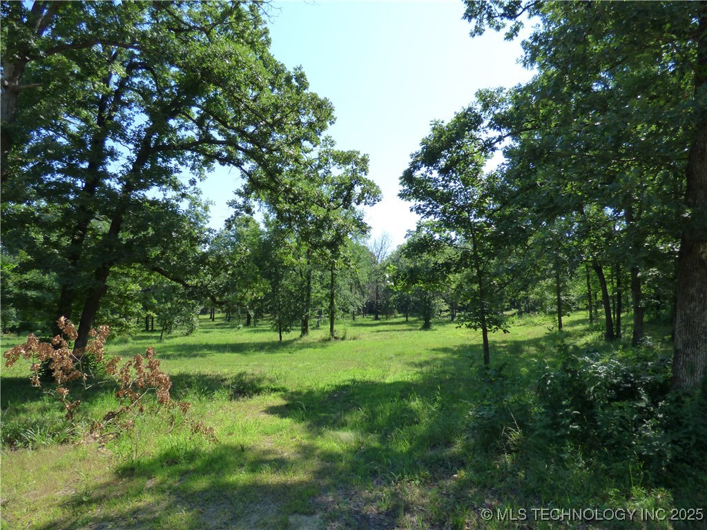 28 Duchess Creek Road Property Photo 4