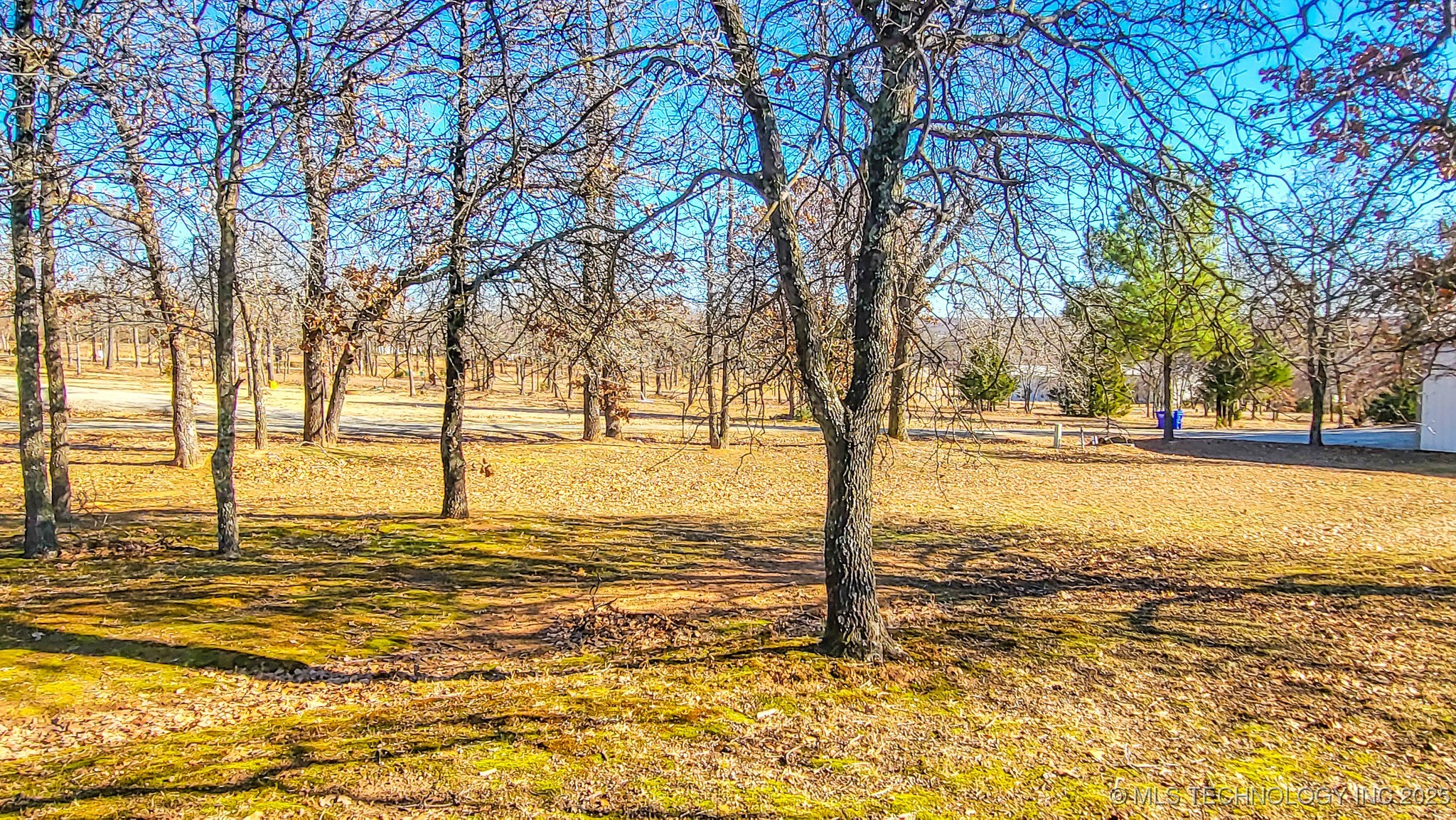36 Duchess Creek Drive Property Photo 9