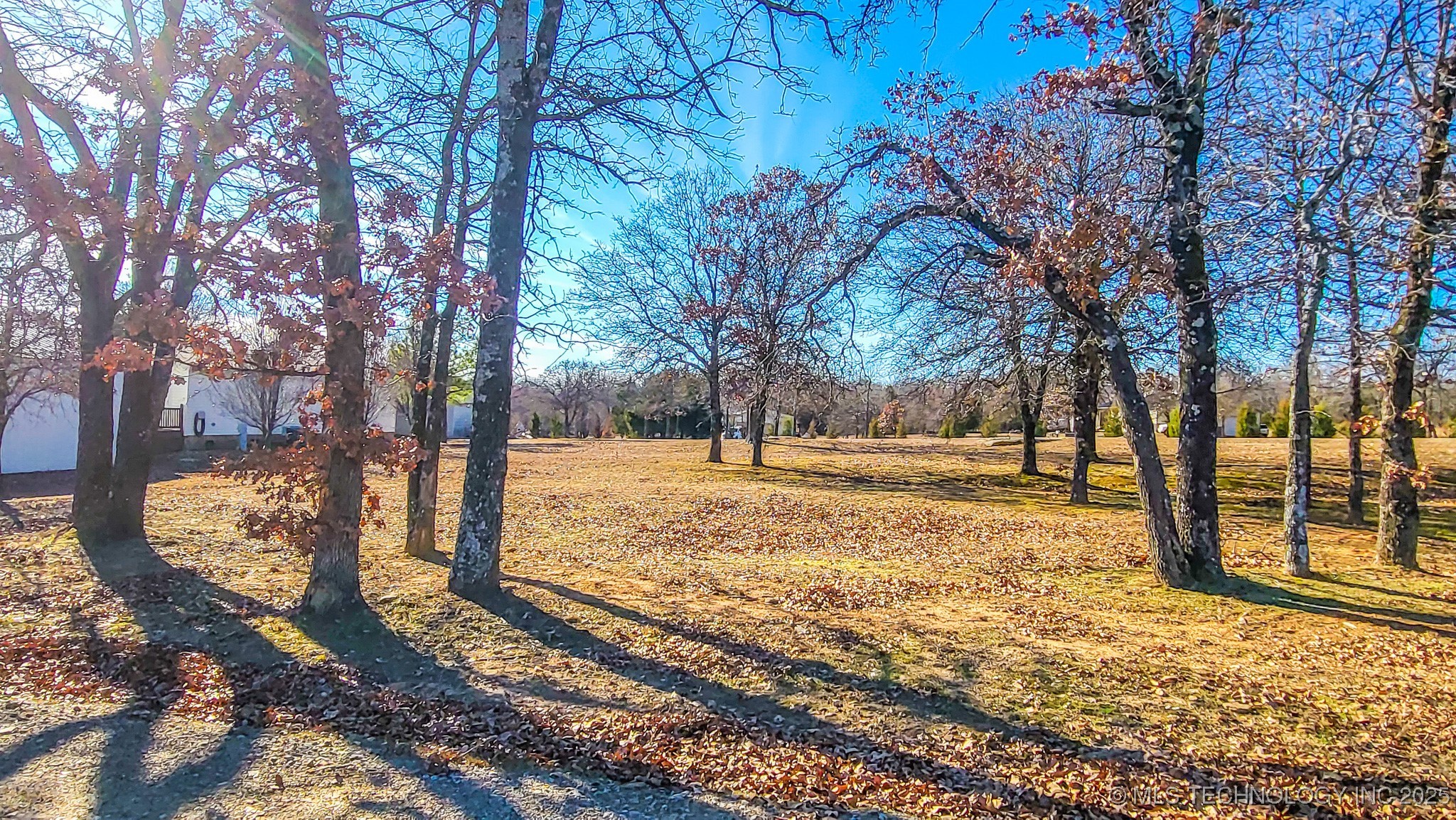 36 Duchess Creek Drive Property Photo 12