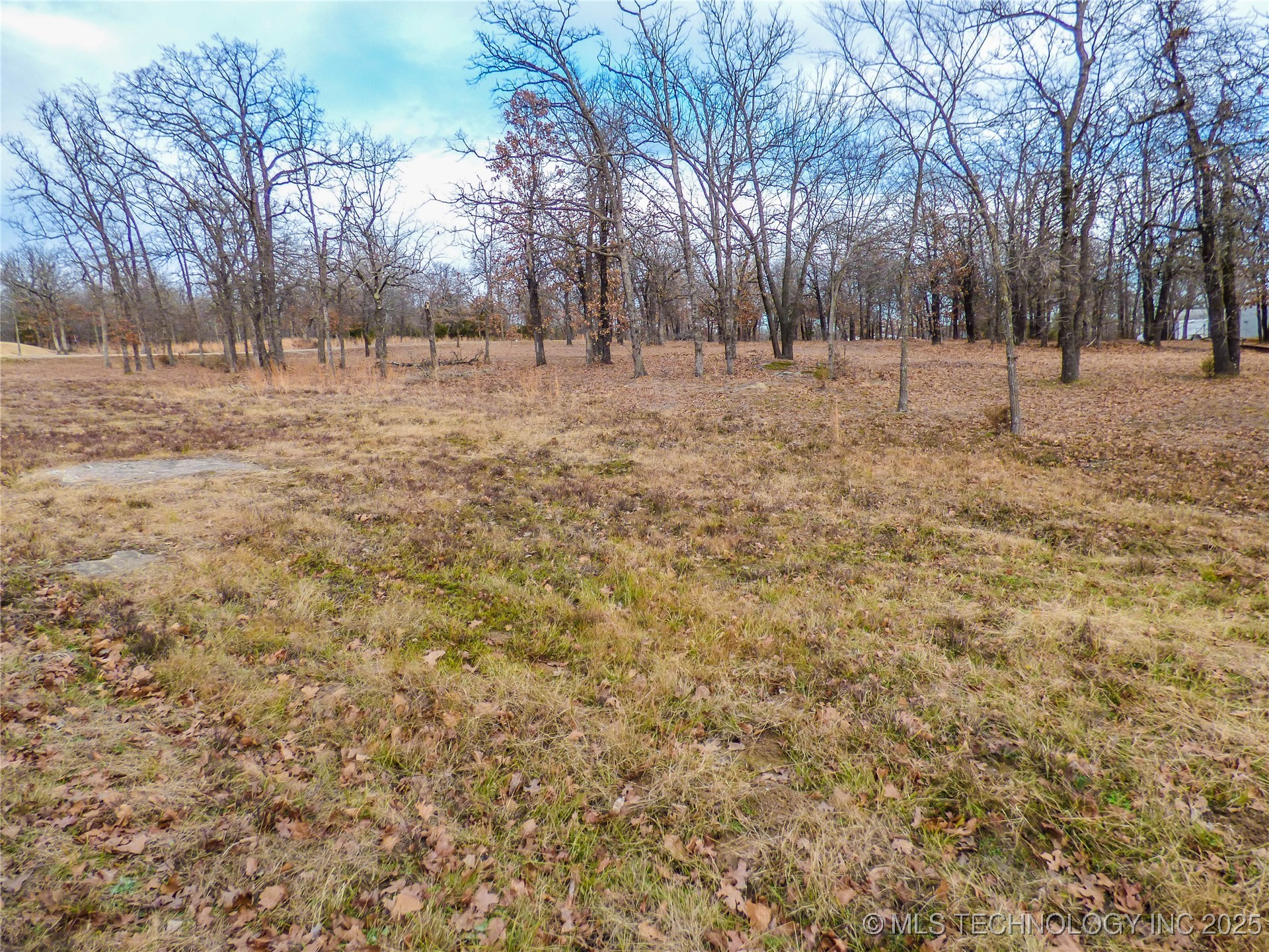 50 Duchess Creek Drive Property Photo 3