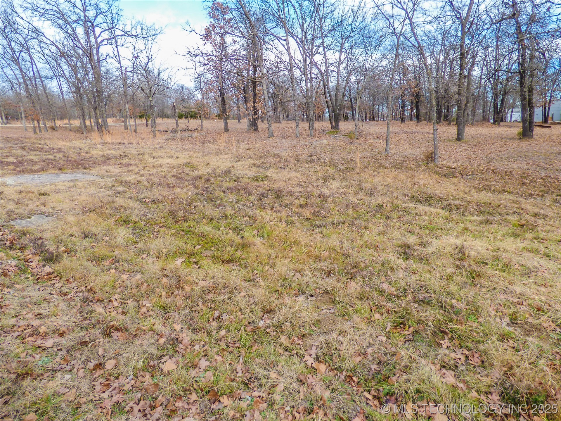 50 Duchess Creek Drive Property Photo 5