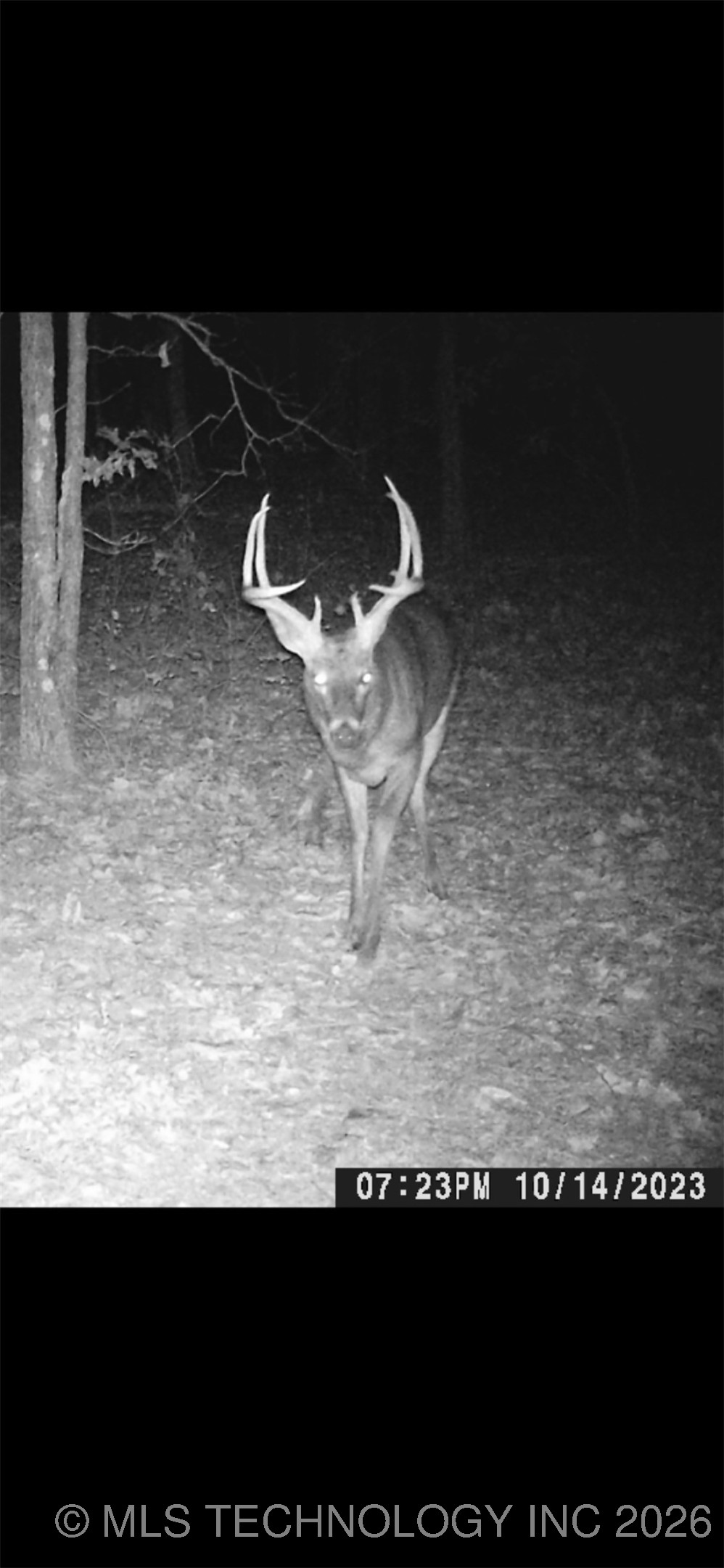 64492 E 350 Road Property Photo 29