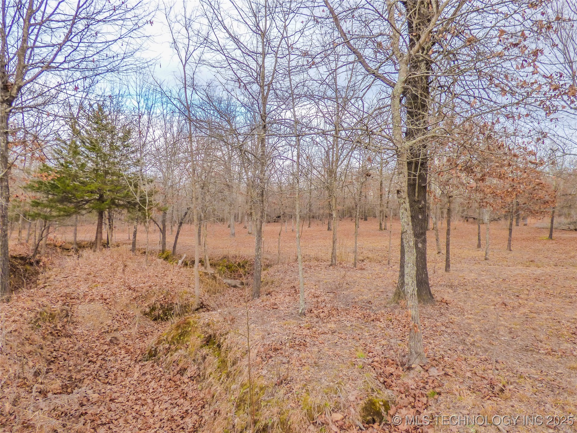 26 Duchess Creek Drive Property Photo 3