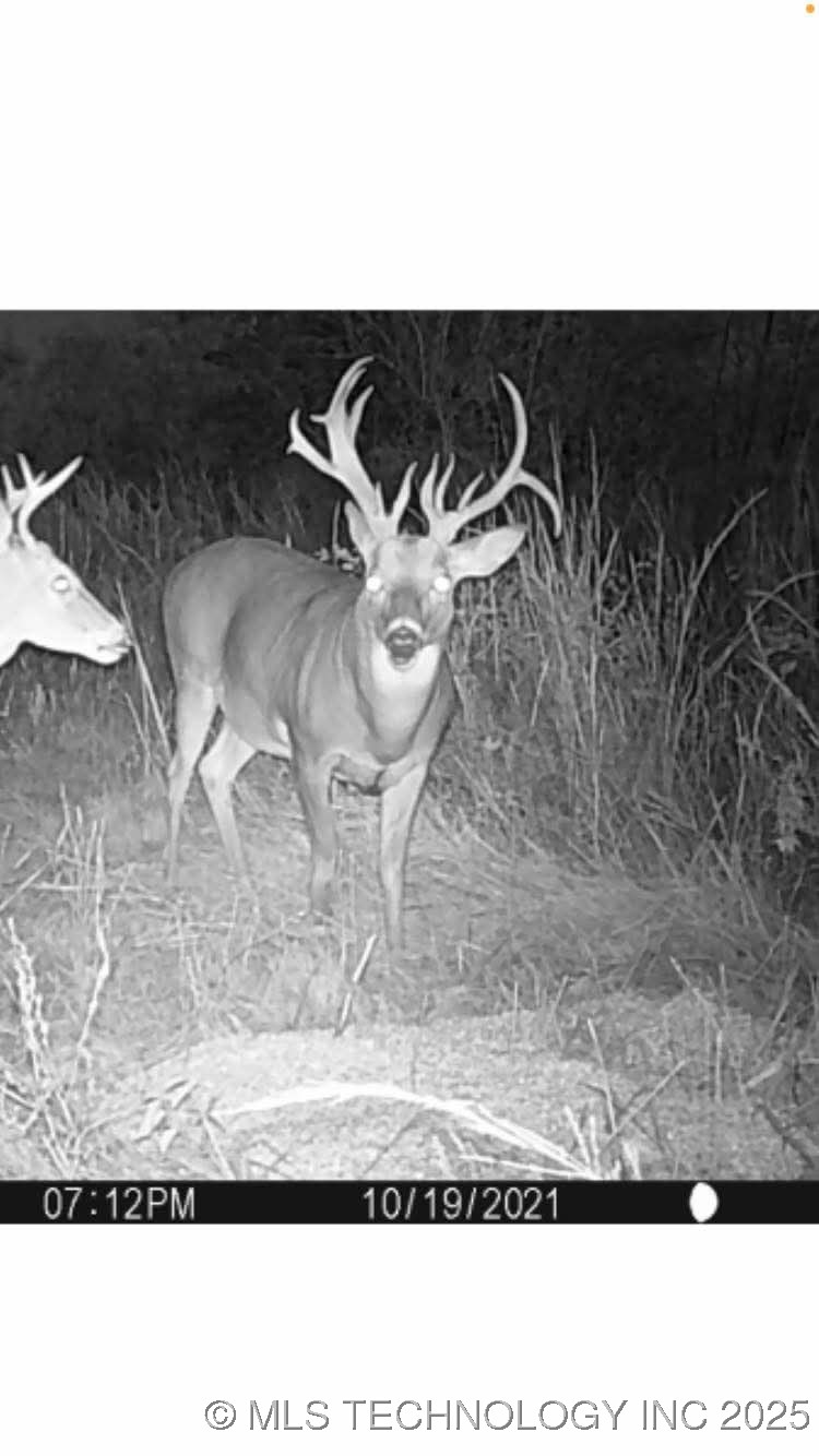 120 N 4160 Property Photo 27