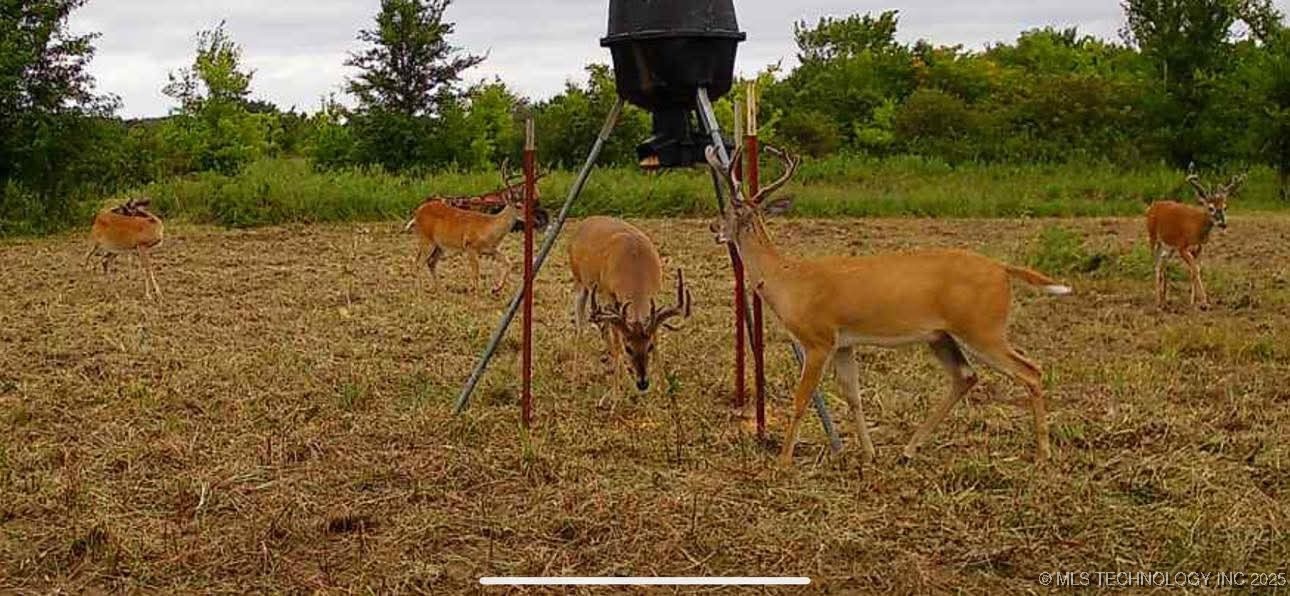 120 N 4160 Property Photo 29