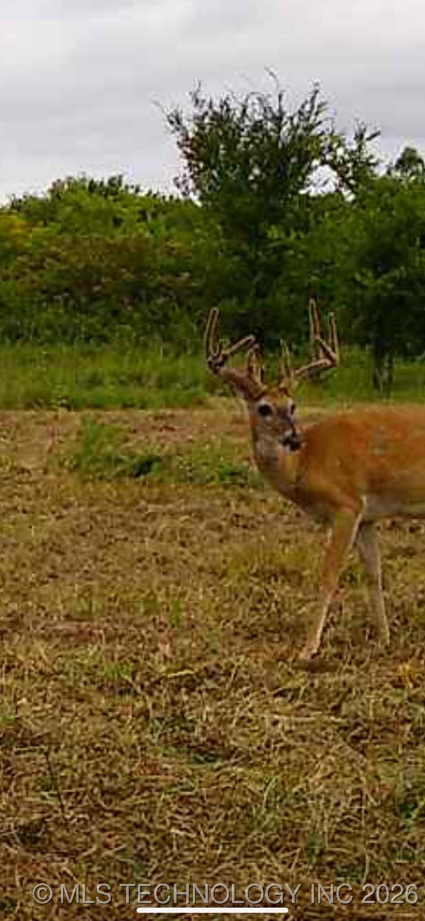 120 N 4160 Property Photo 30