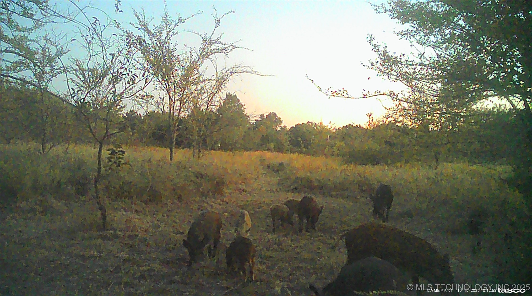 113327 S 4135 Road Property Photo 6