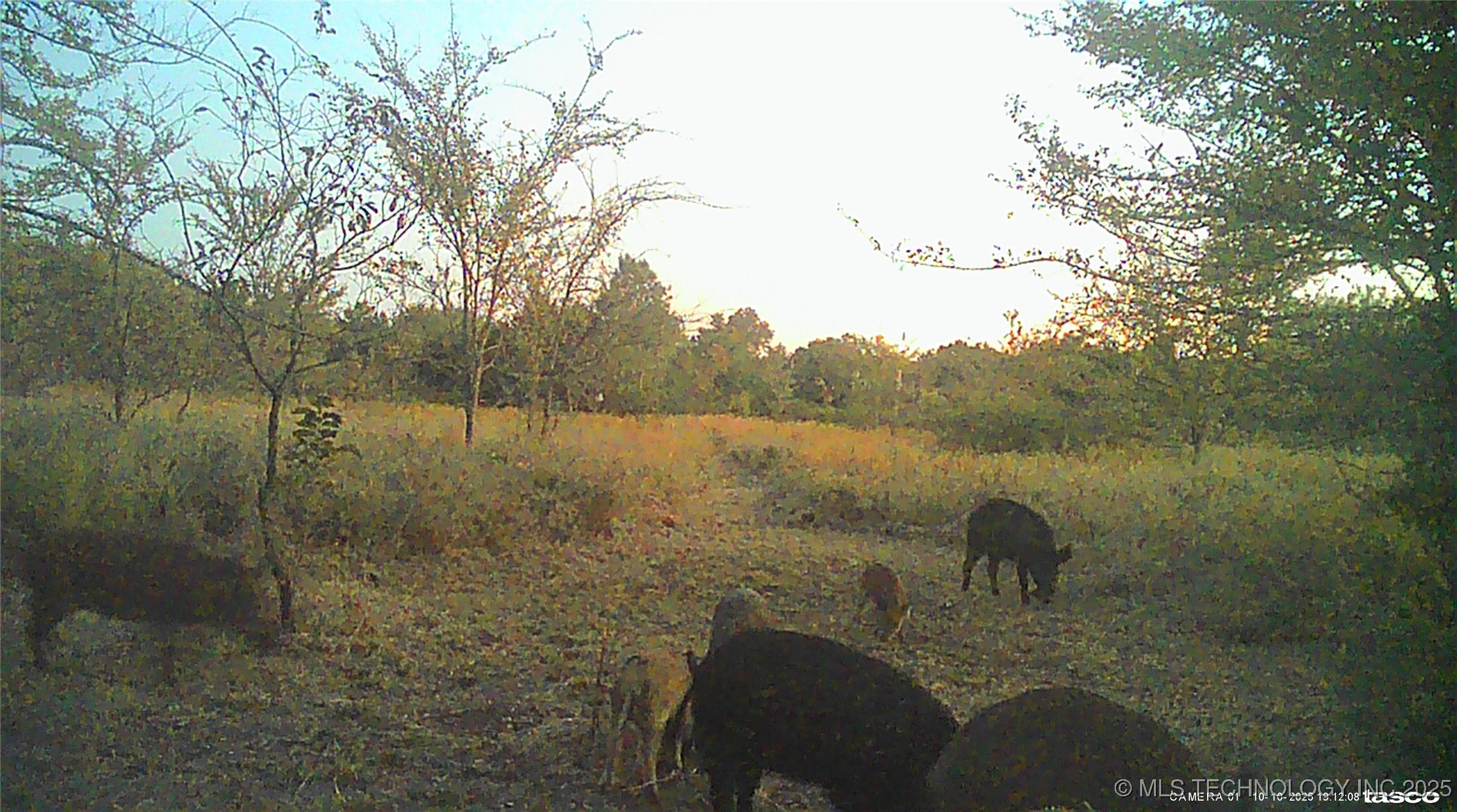 113327 S 4135 Road Property Photo 41