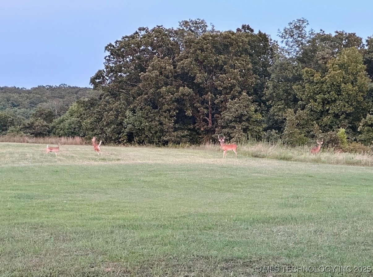 21275 N Javine Hill Road Property Photo 74