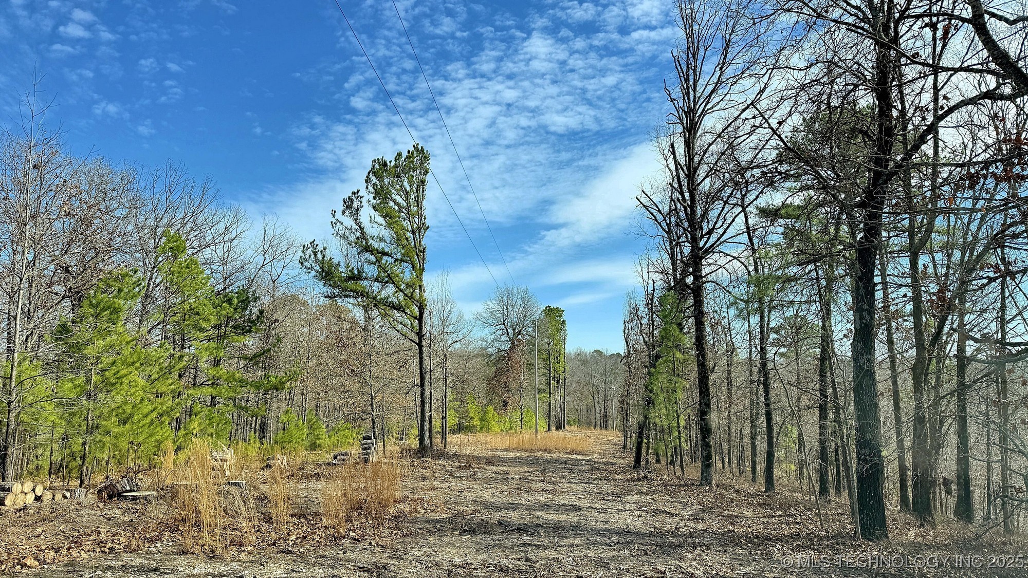 238 Fox Track Trail Property Photo 2