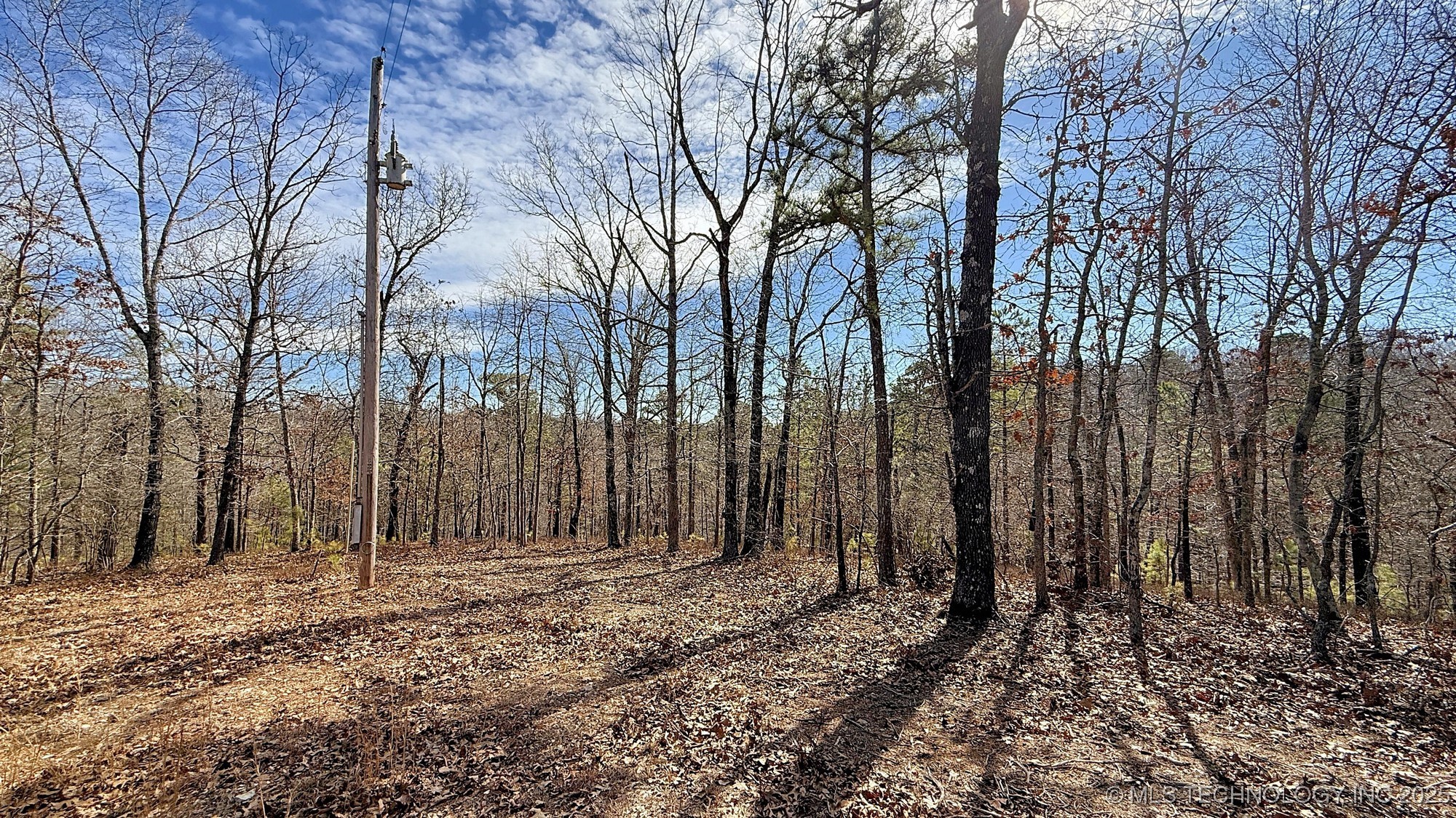 238 Fox Track Trail Property Photo 3