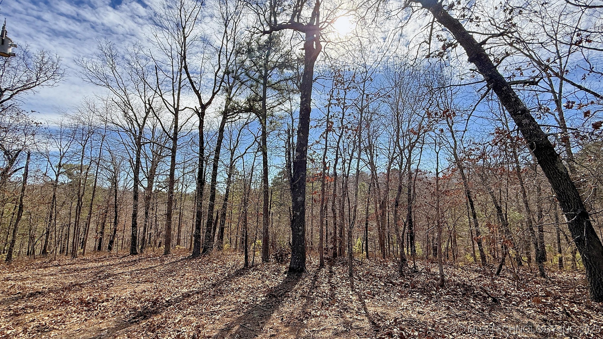 238 Fox Track Trail Property Photo 4