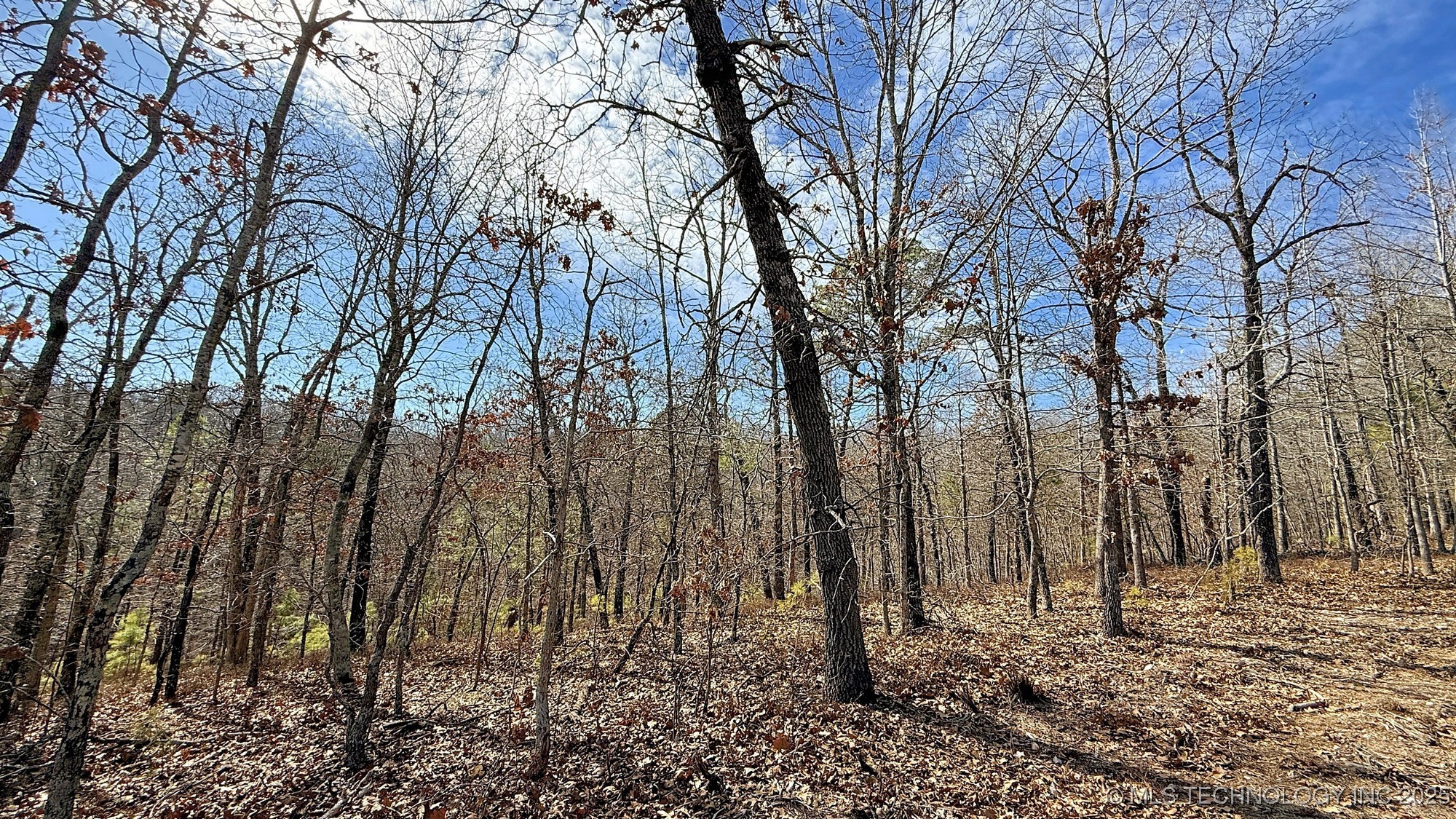 238 Fox Track Trail Property Photo 5