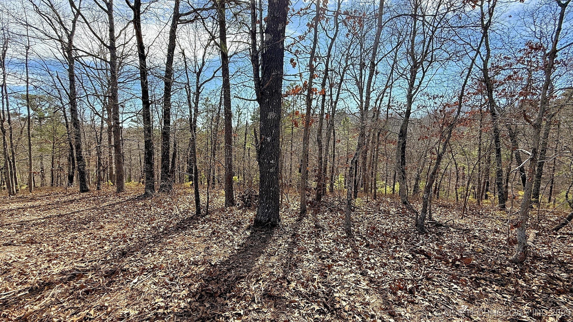 238 Fox Track Trail Property Photo 6