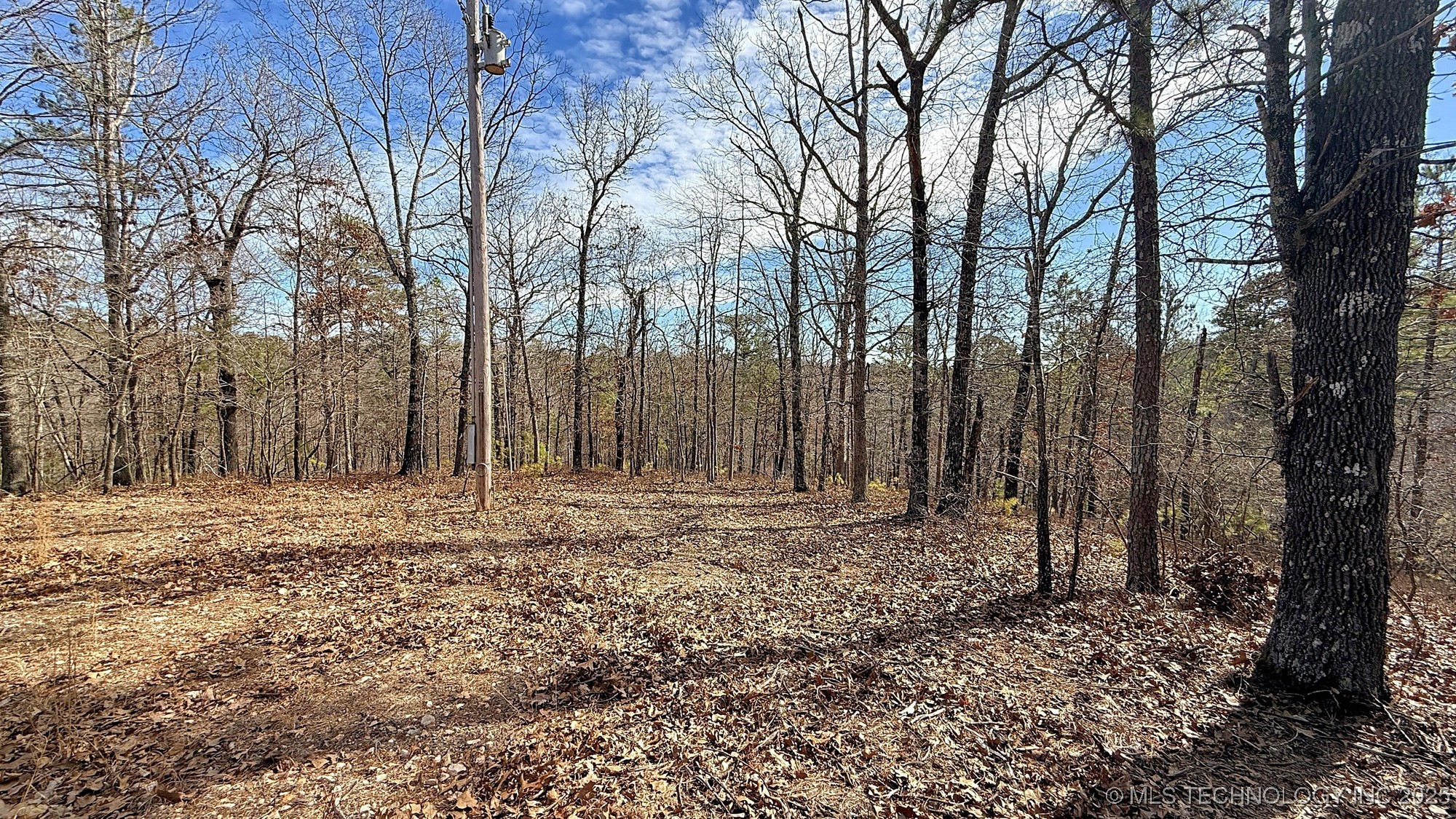 238 Fox Track Trail Property Photo 7