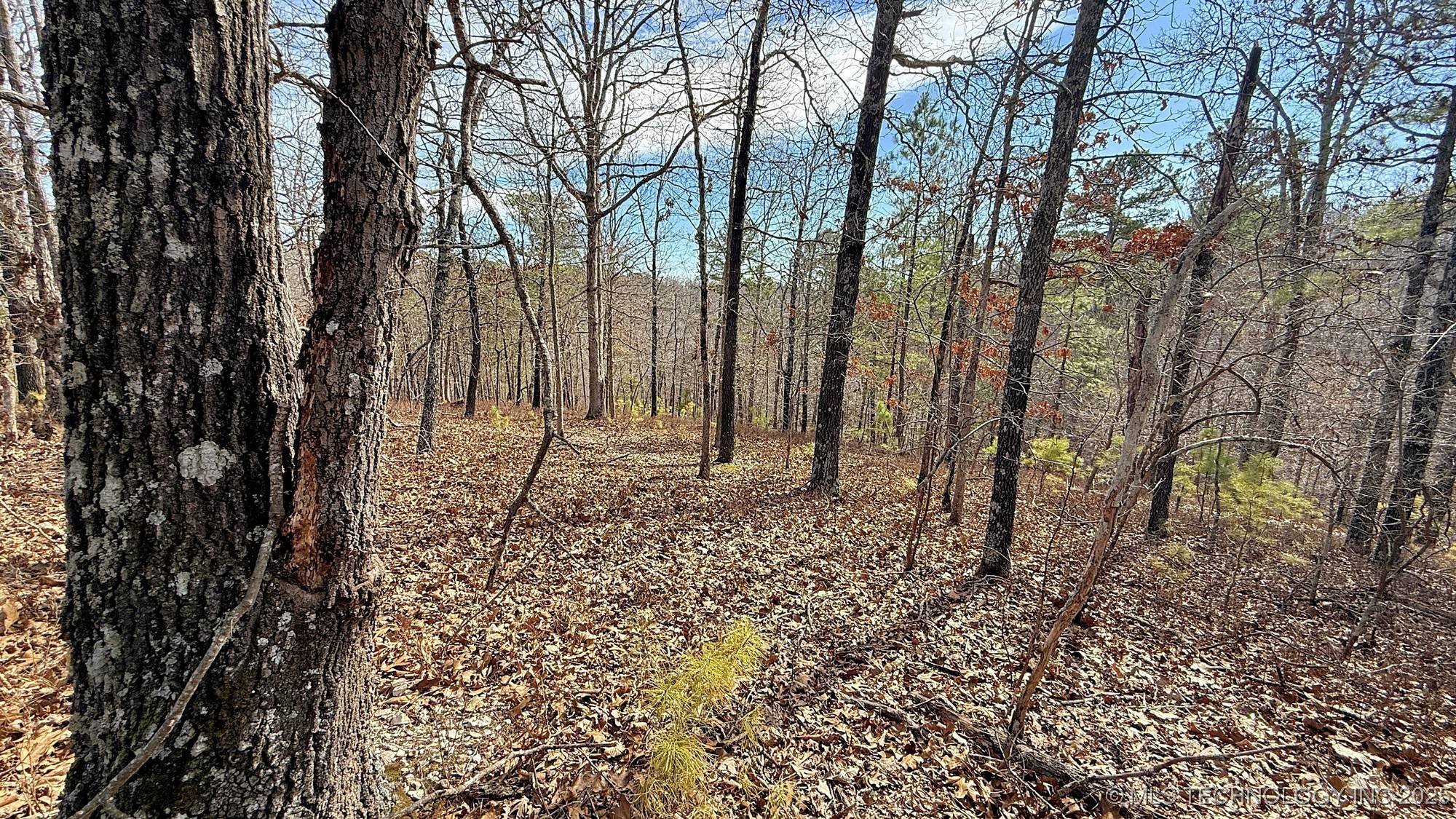 238 Fox Track Trail Property Photo 8