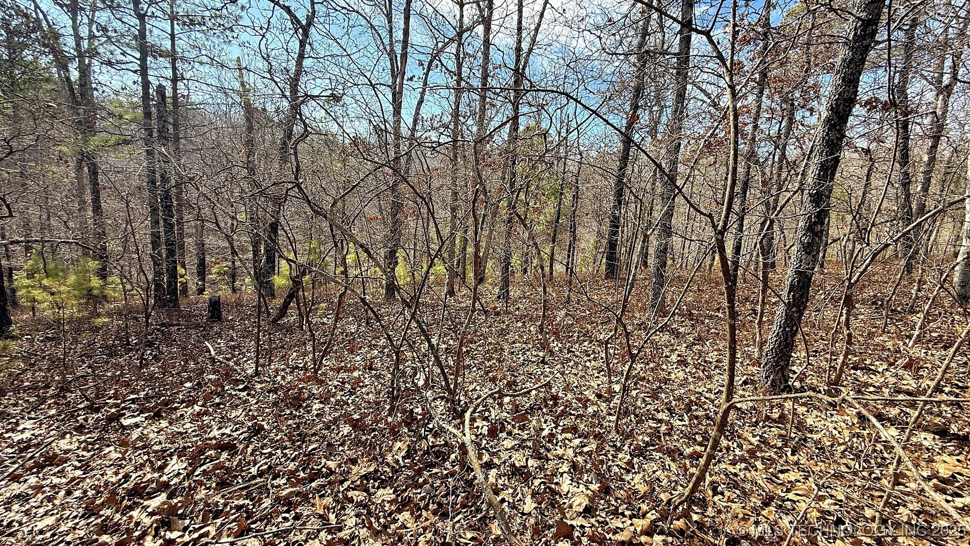 238 Fox Track Trail Property Photo 10