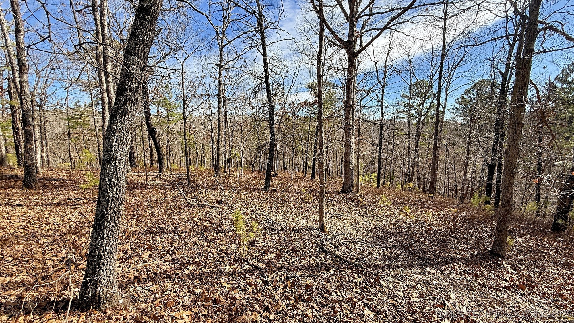 238 Fox Track Trail Property Photo 11