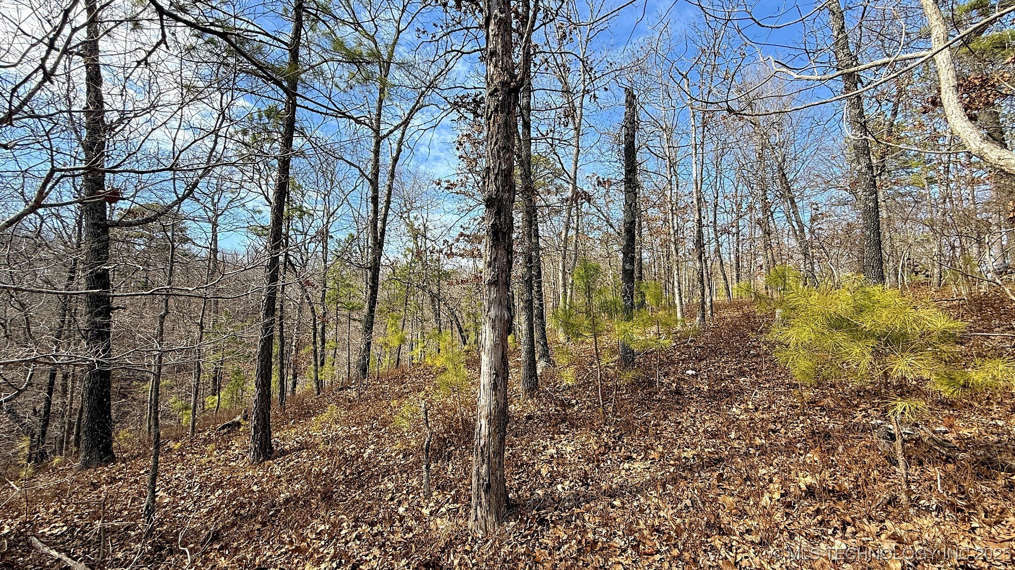 238 Fox Track Trail Property Photo 12