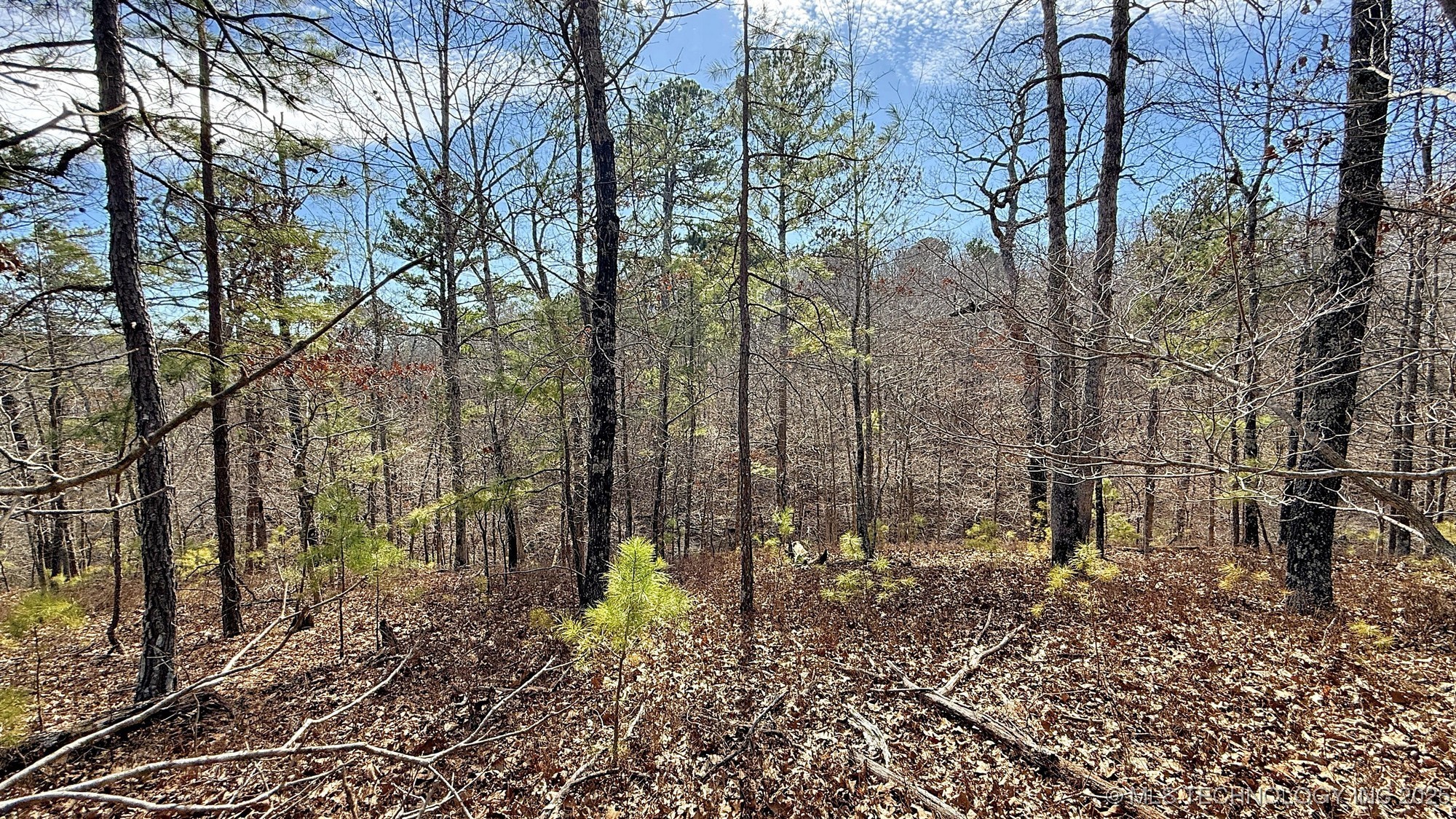 238 Fox Track Trail Property Photo 13