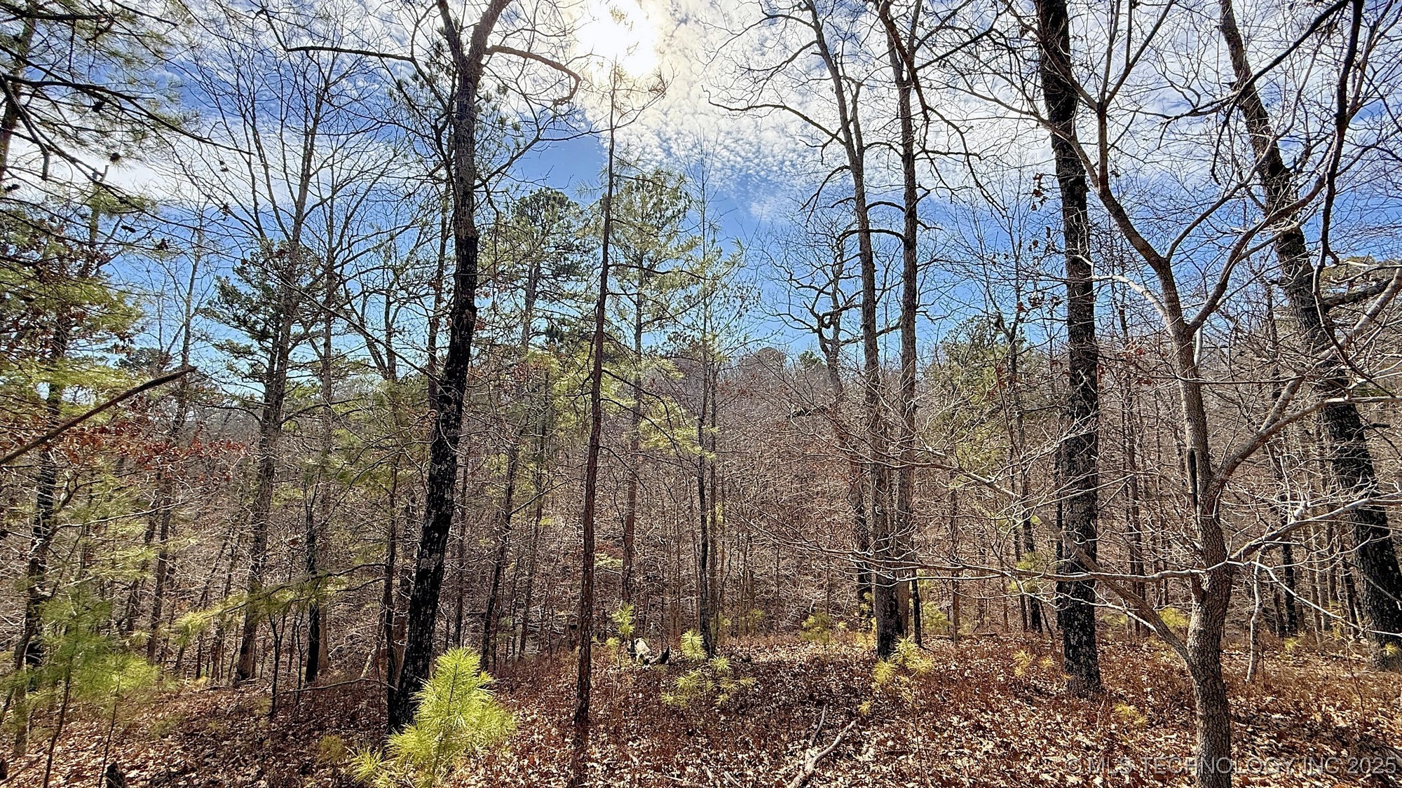 238 Fox Track Trail Property Photo 14