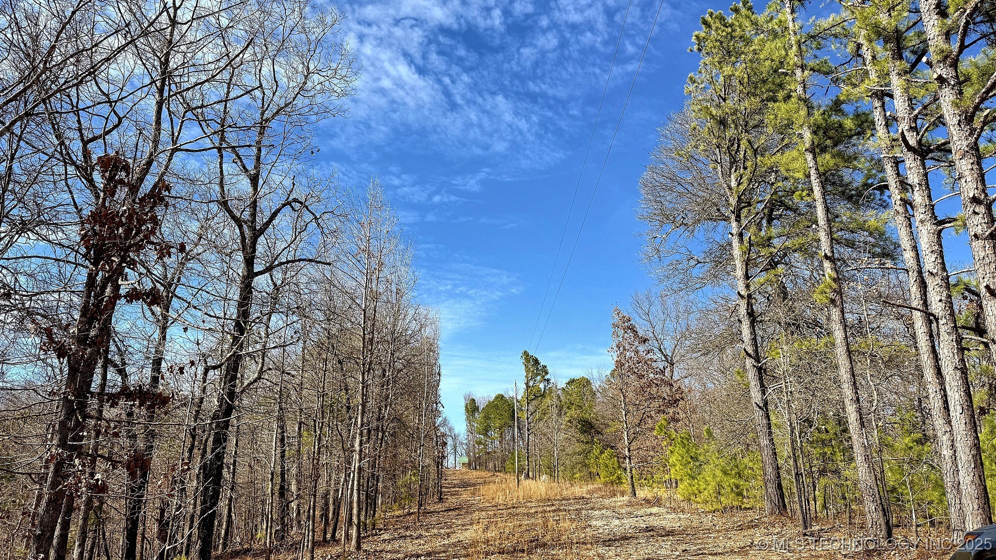 238 Fox Track Trail Property Photo 17