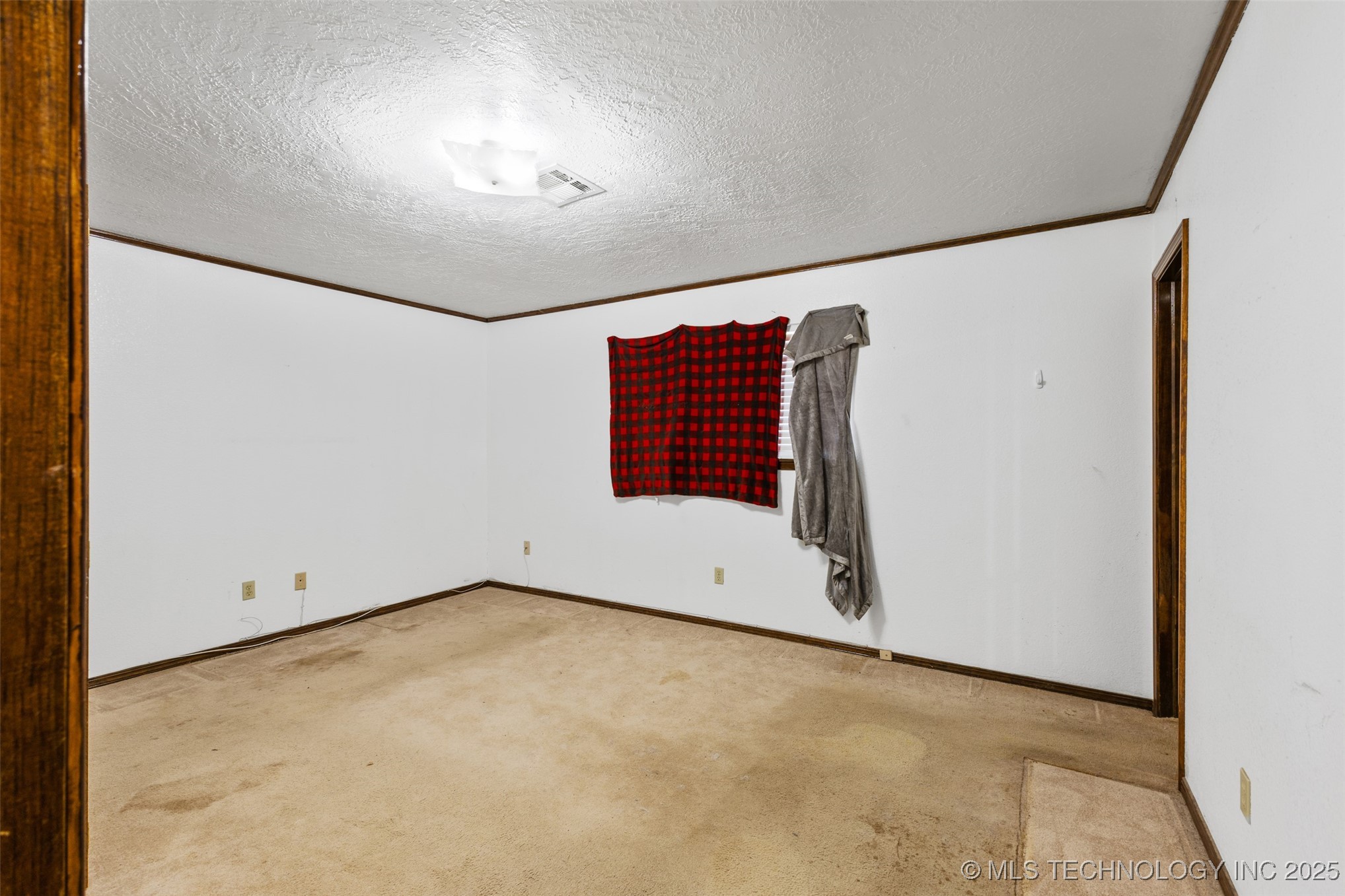 13003 County Road 1560 Property Photo 40