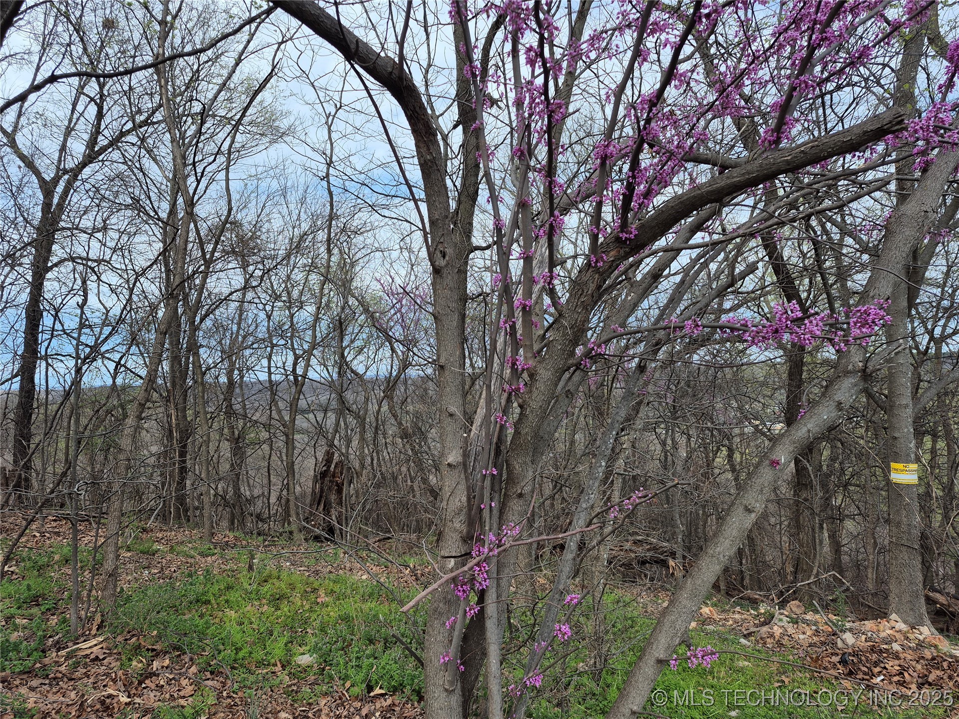 341 E 437 Road Property Photo 5