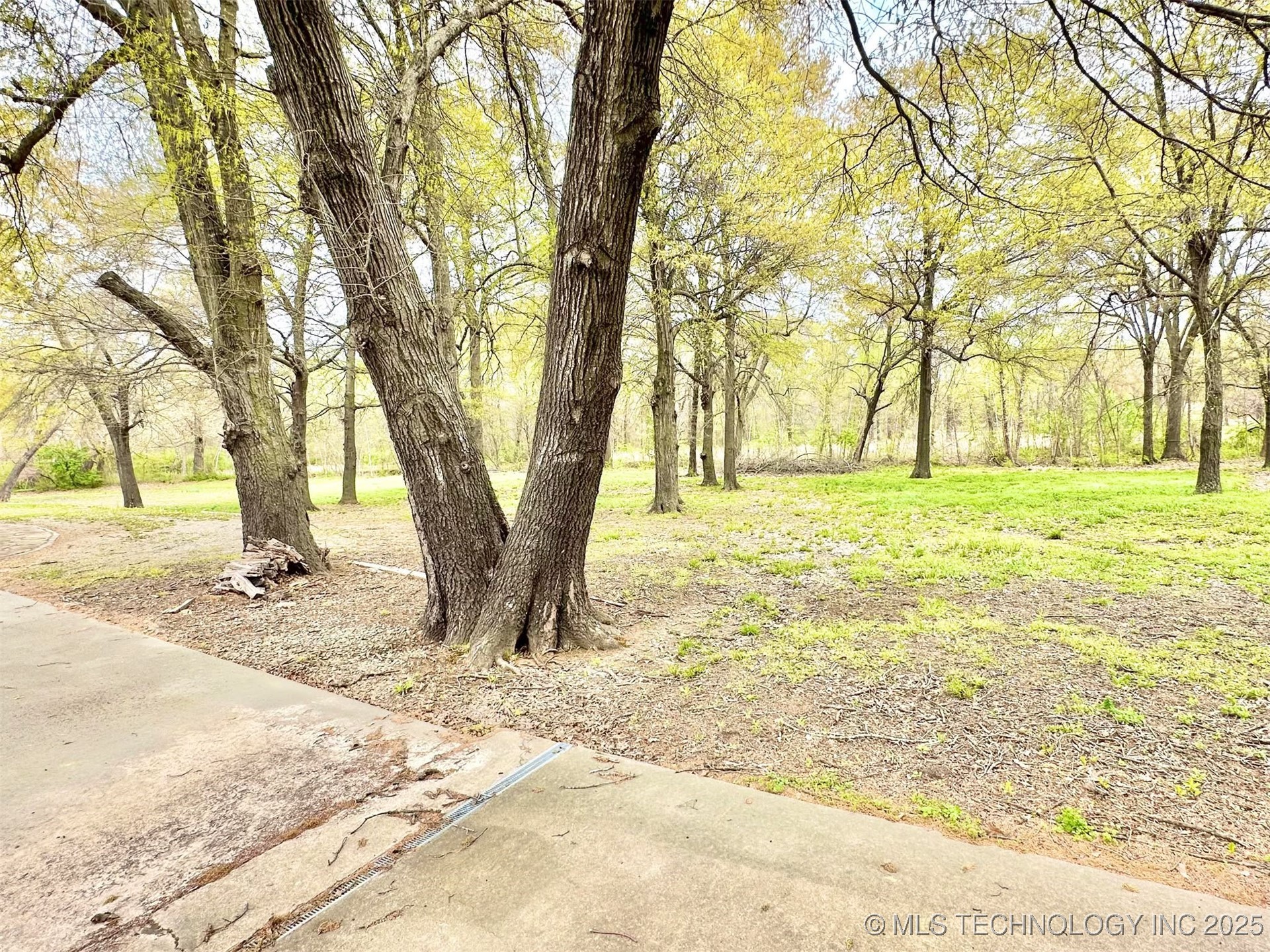 1401 Country Ridge Drive Property Photo 38