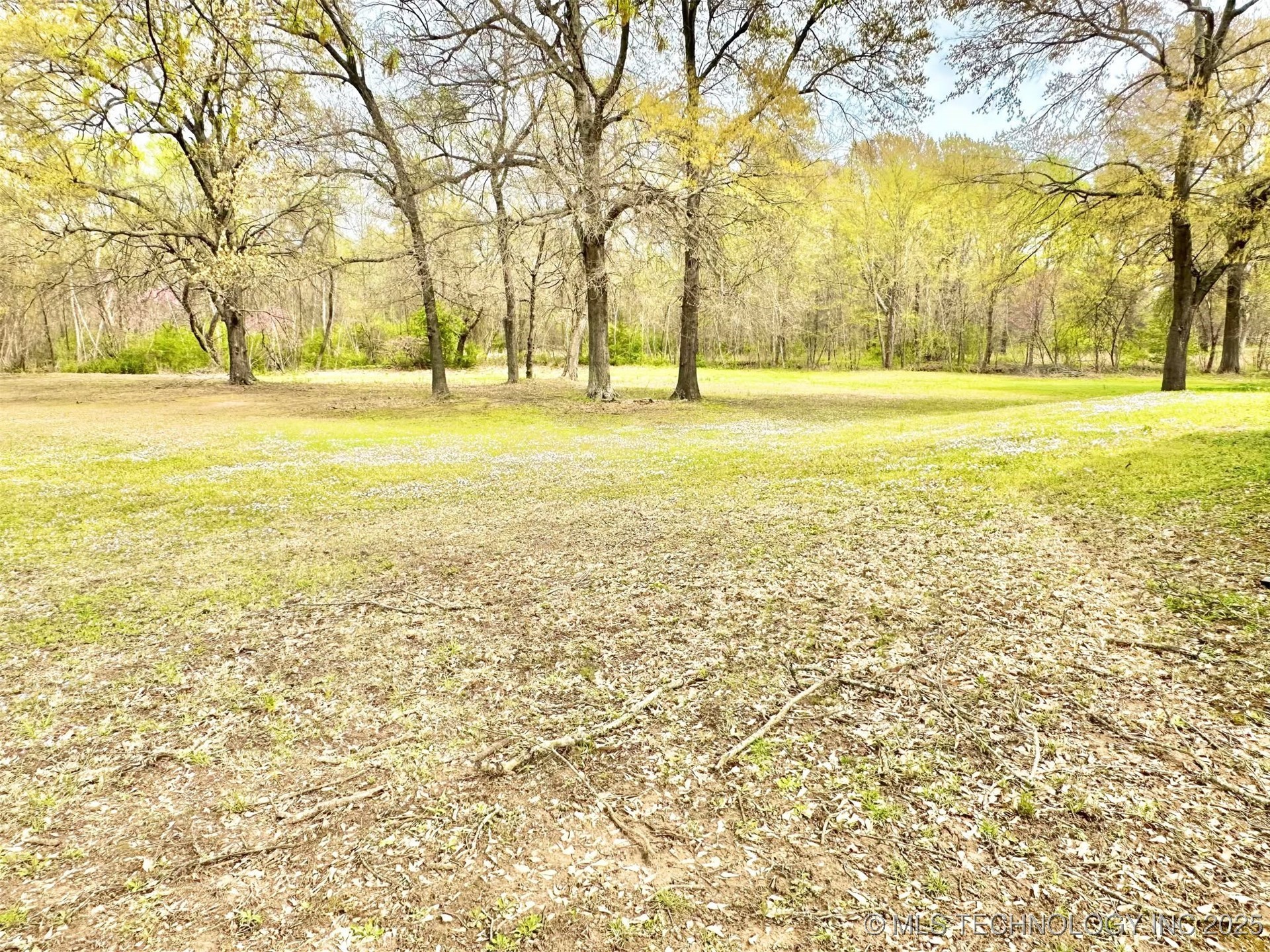 1401 Country Ridge Drive Property Photo 41