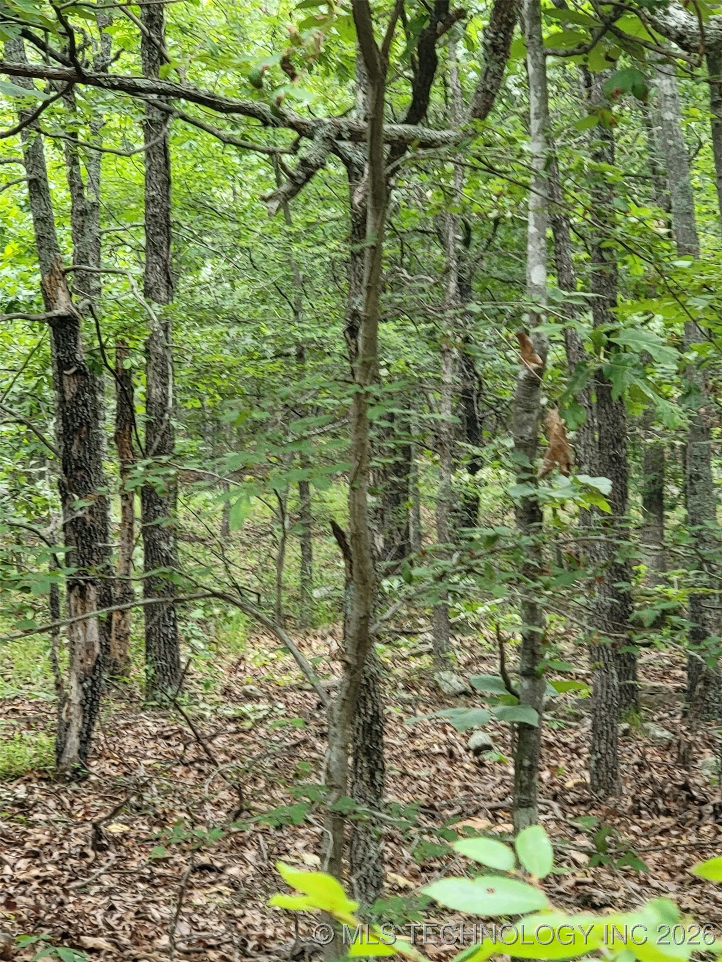 E 1115 Road Property Photo 1