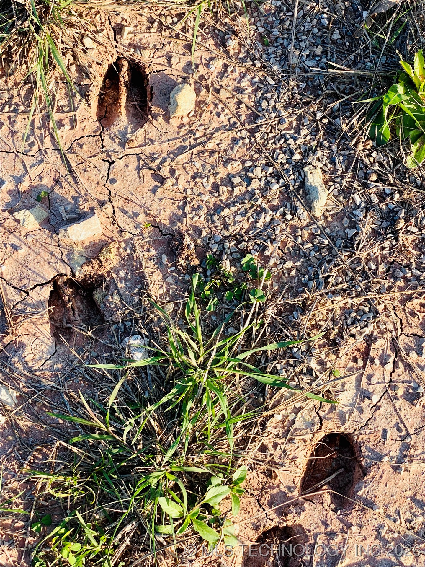 9663 Myall Property Photo 5