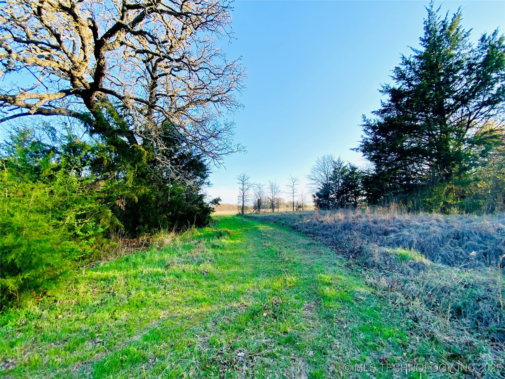 9663 Myall Property Photo 7