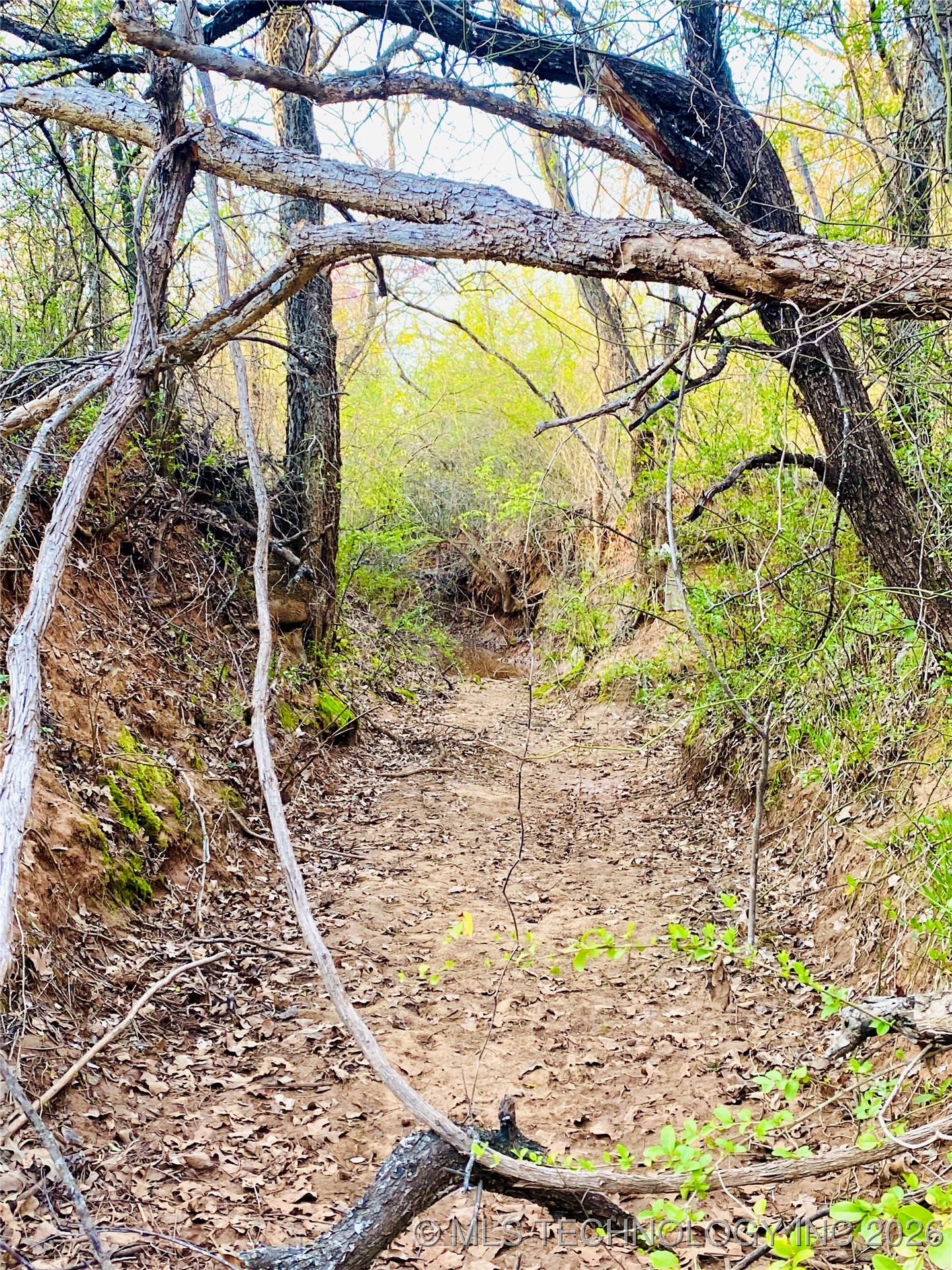 9663 Myall Property Photo 10