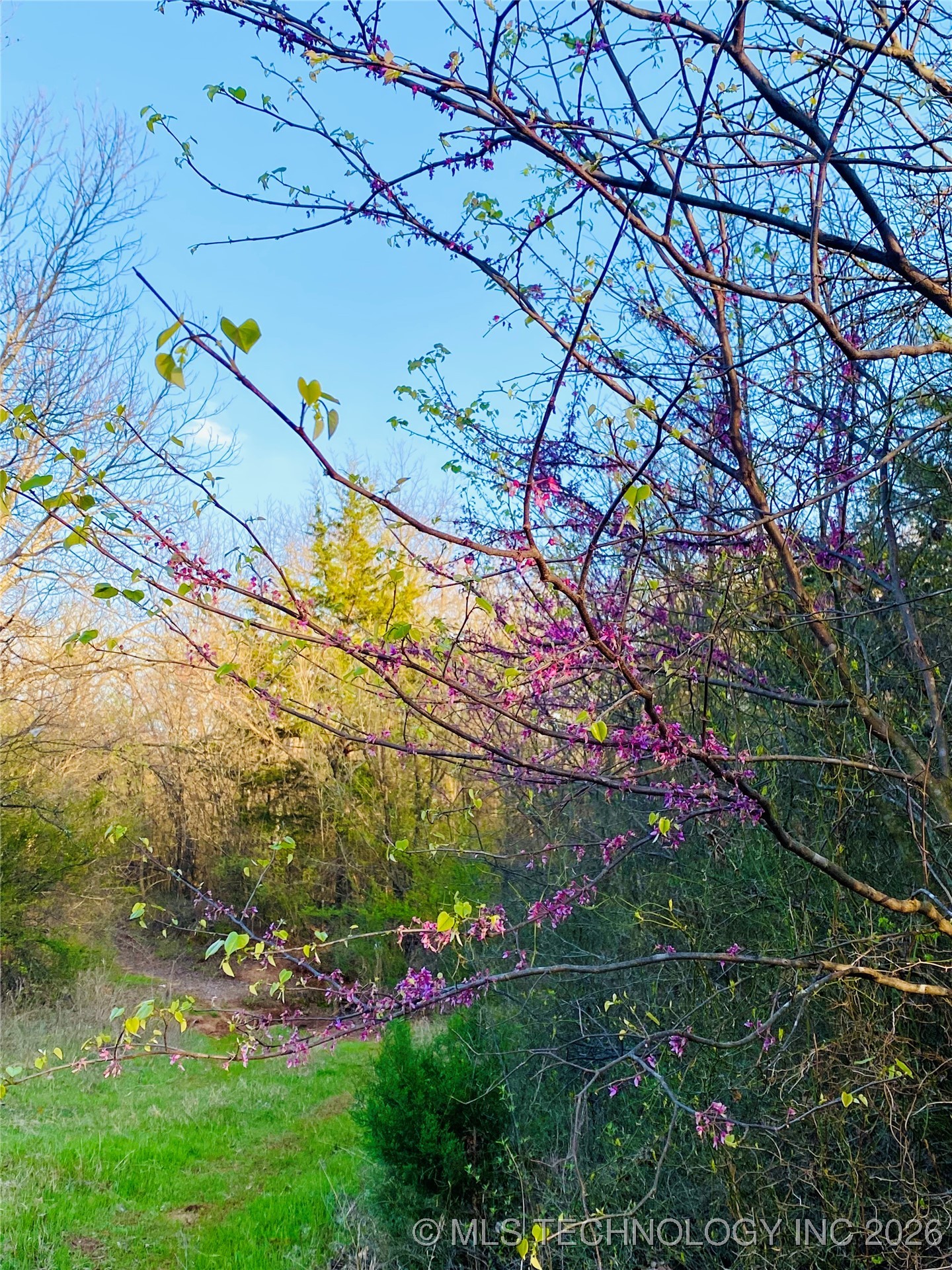 9663 Myall Property Photo 11