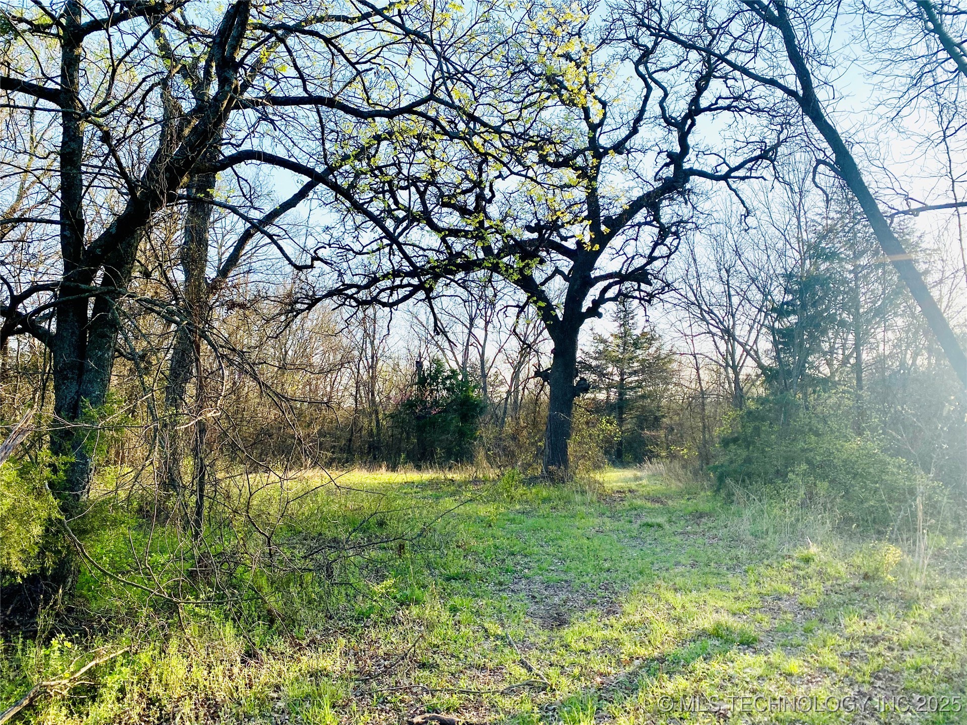 9663 Myall Property Photo 14