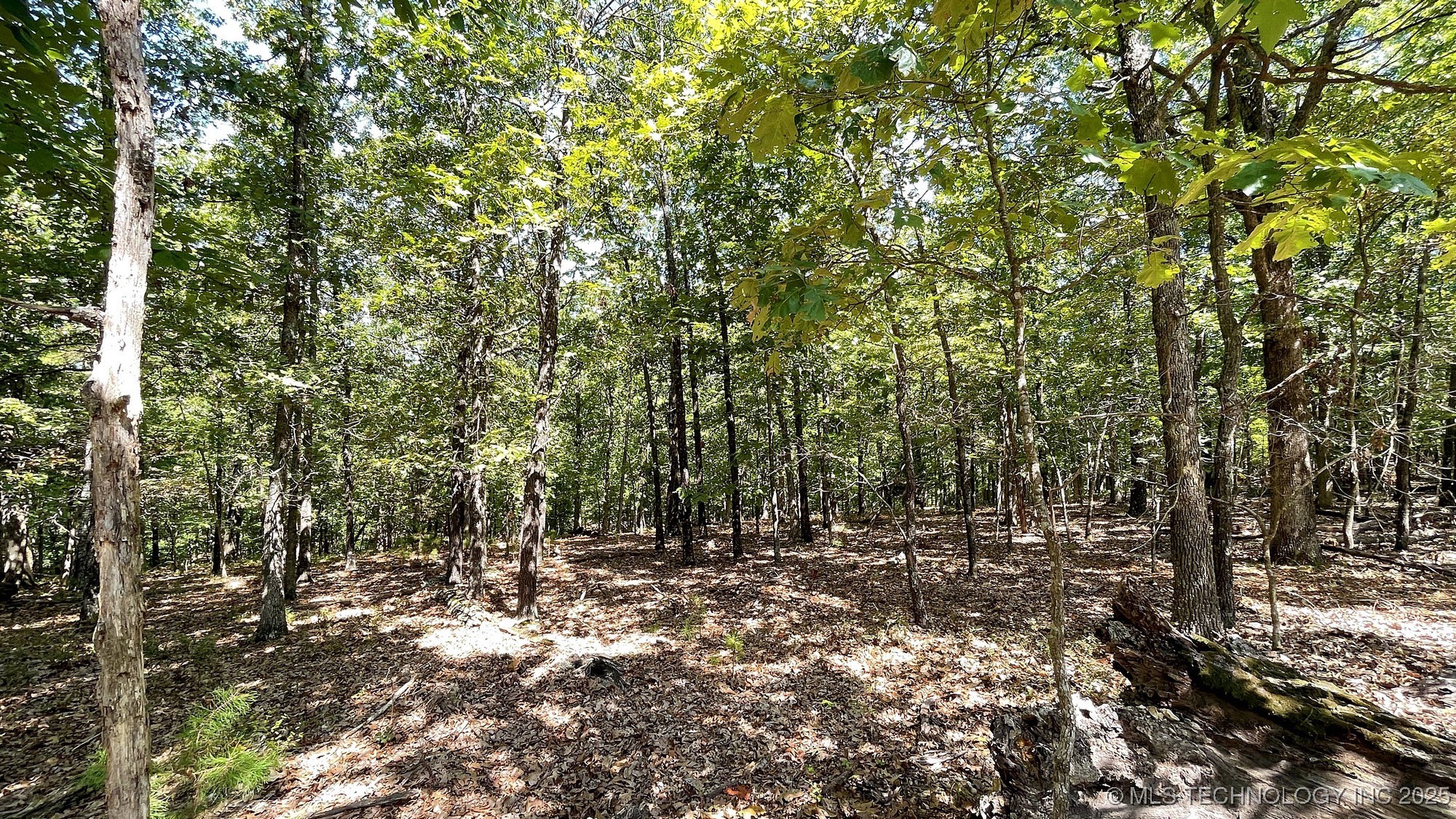 492 Deer Creek Road Property Photo 3