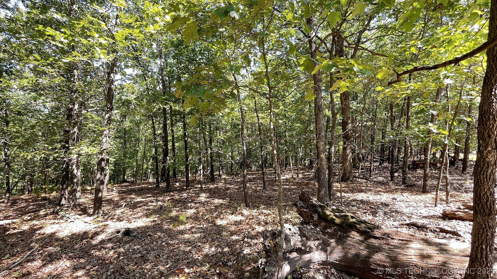 492 Deer Creek Road Property Photo 4