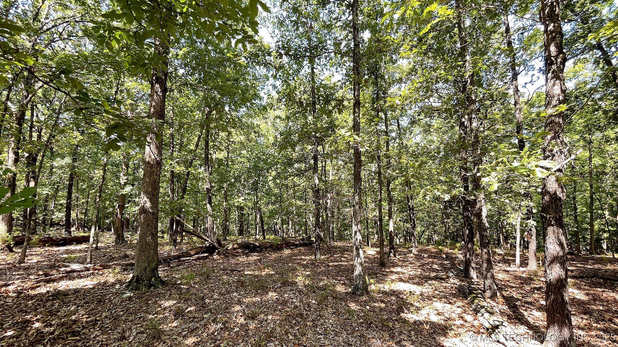 492 Deer Creek Road Property Photo 5