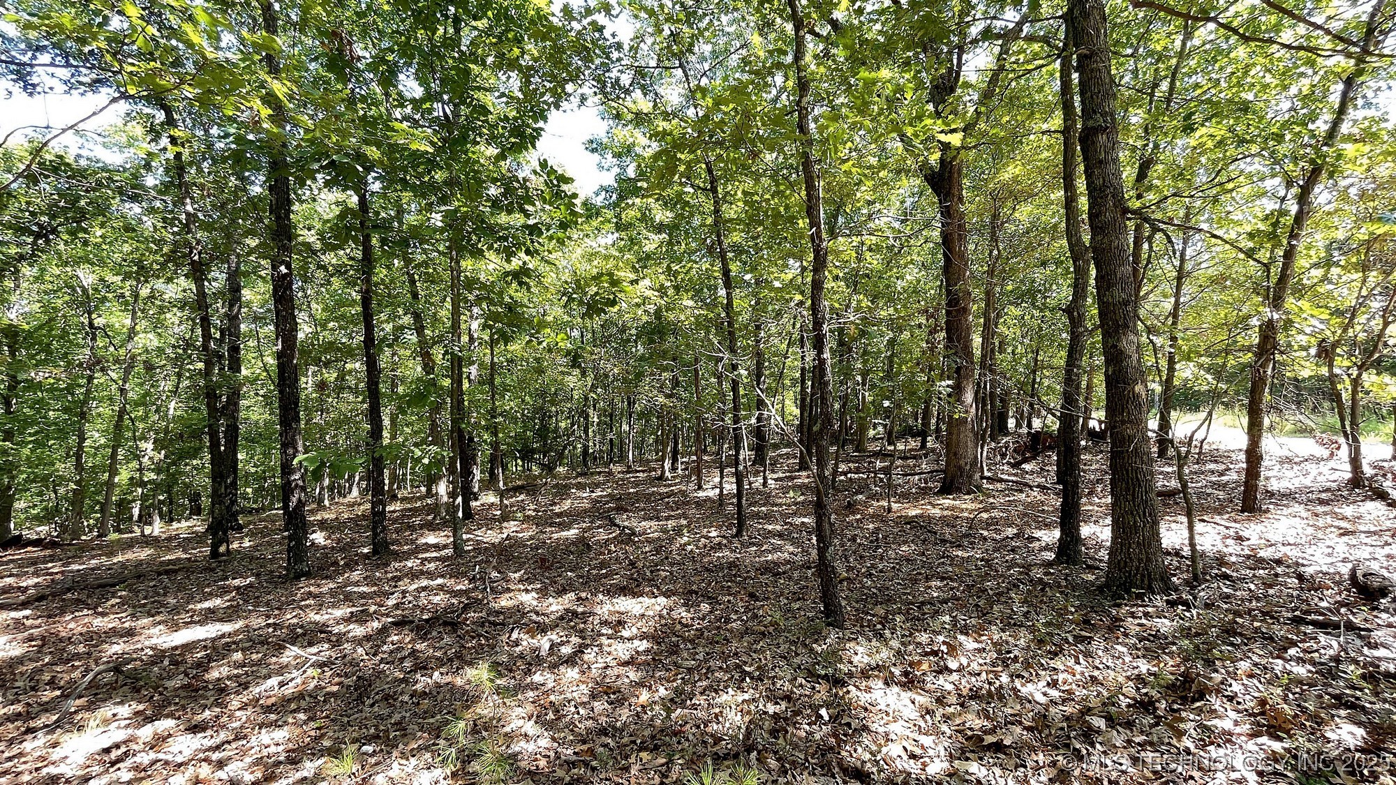 492 Deer Creek Road Property Photo 6